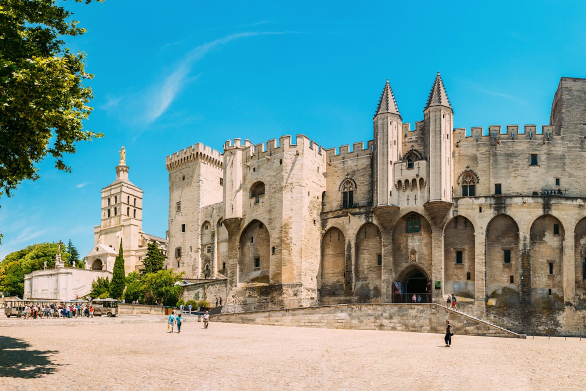 Palace of the Popes and Pont d’Avignon Ticket - main image