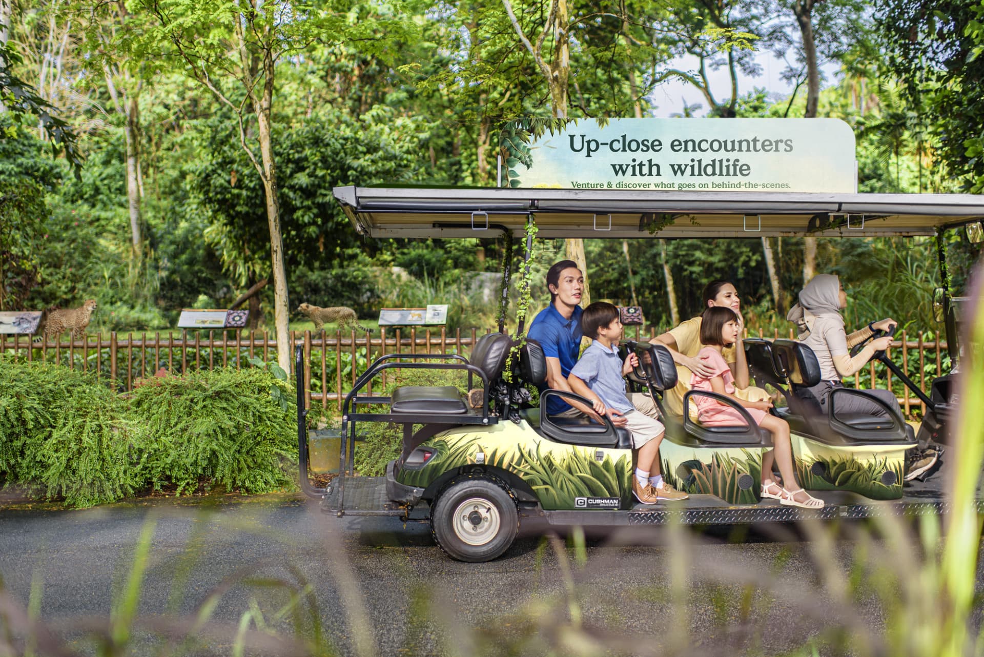 Entrada para el Singapore Zoo - imagen 6