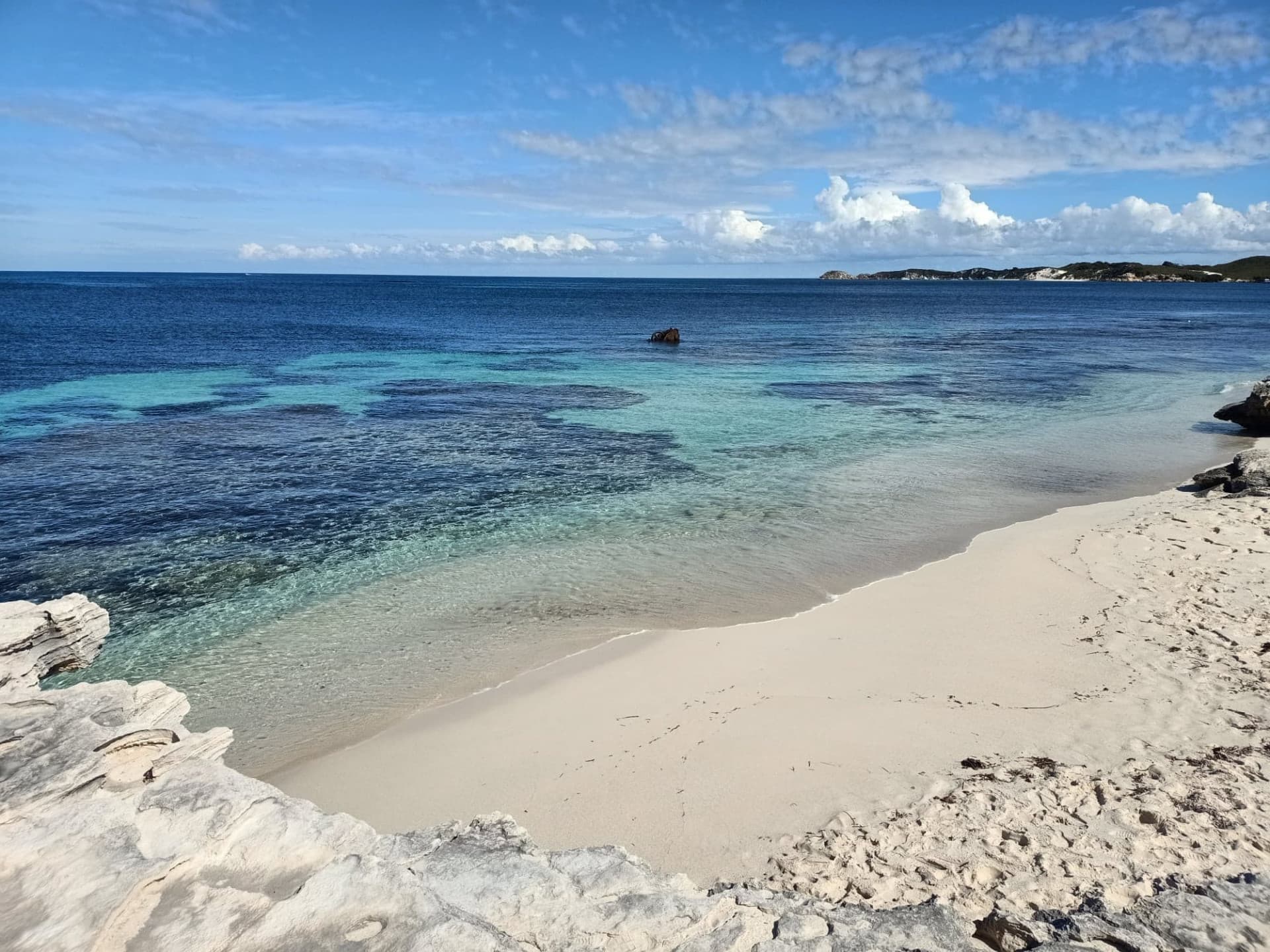 Rottnest Island Settlement Explorer Segway Tour with Round Trip SeaLink Ferry Transfer - image 6