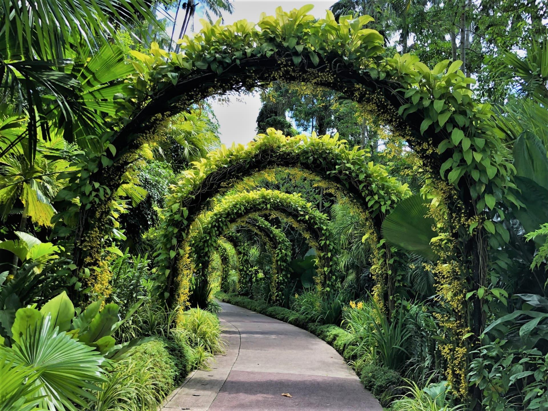 COMBO: Gardens by the Bay + National Orchid Garden Ticket - image 9