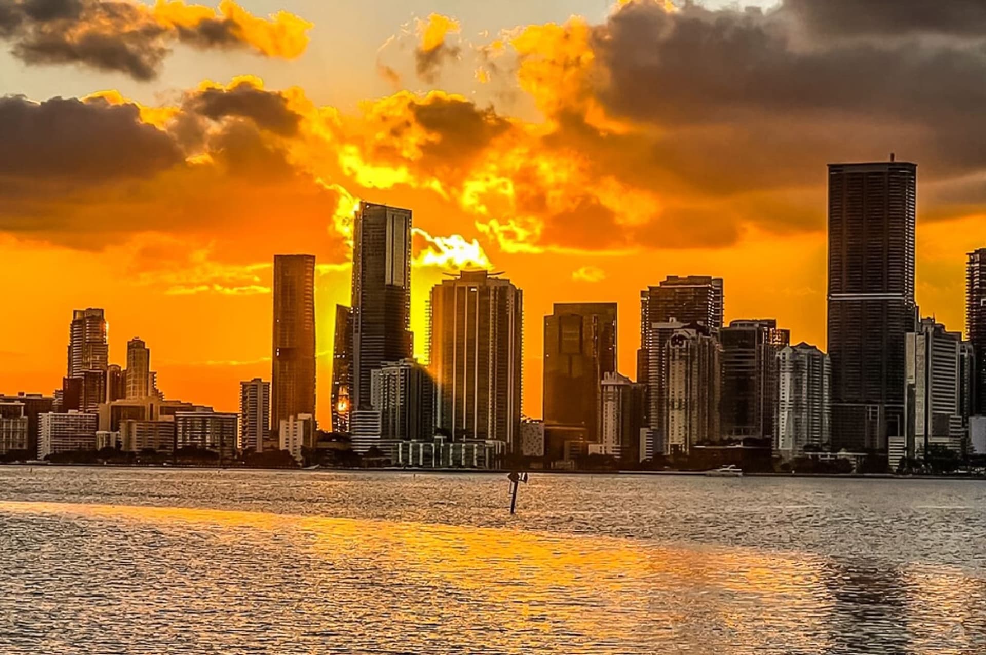 Miami Full-Day Combo: 75 min cruise + Everglades Airboat Tour + Double Decker Bus - image 8