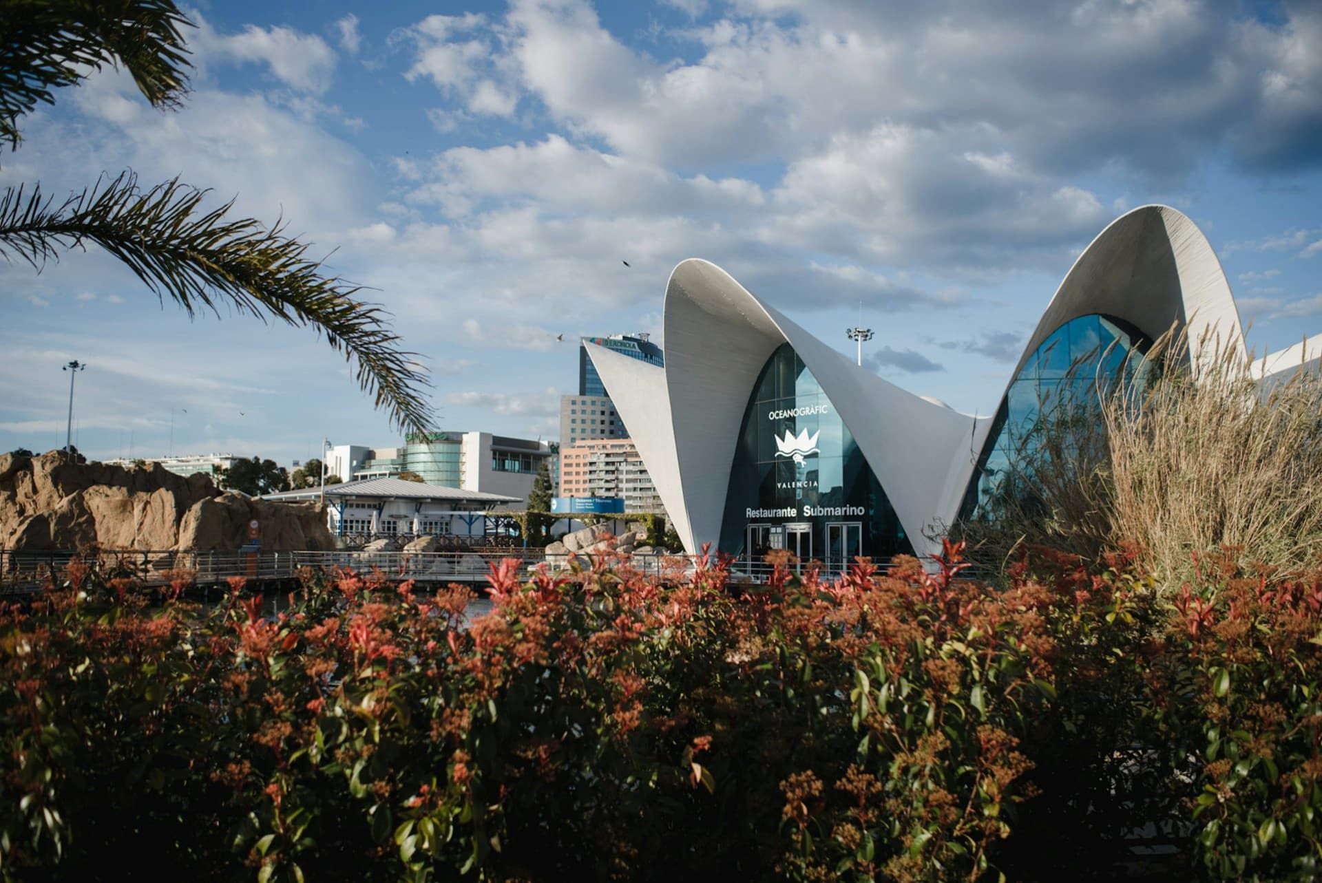 Oceanogràfic de Valencia Ticket - image 7