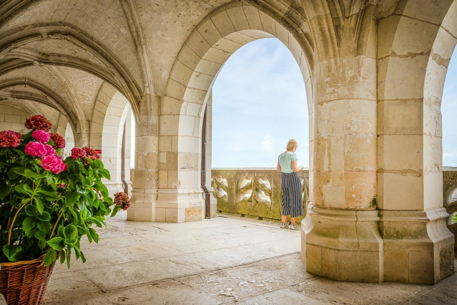 Château d'Amboise Skip The Line Ticket - image 7
