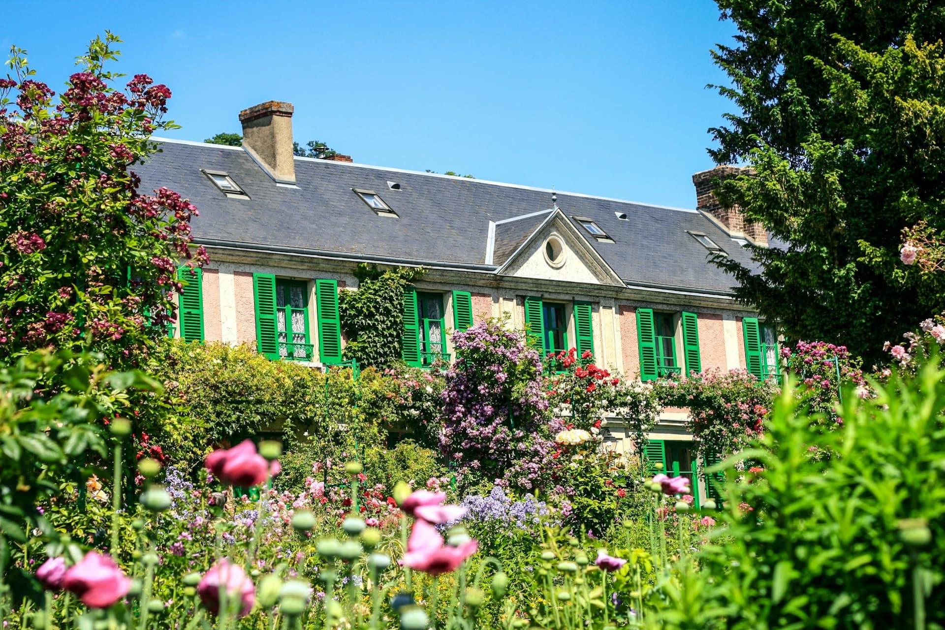Giverny: Impressionist Day Trip from Paris with Audio Guide - image 10