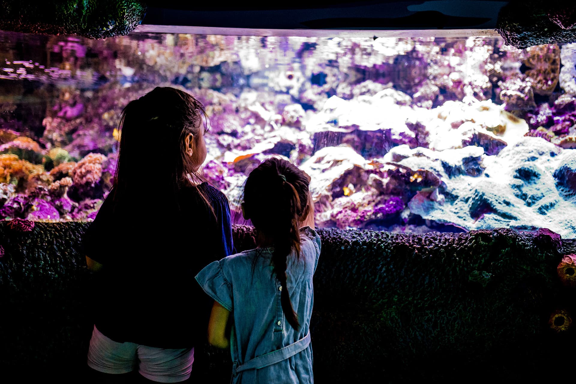 Sydney Multi-Attraction Pass - image 7