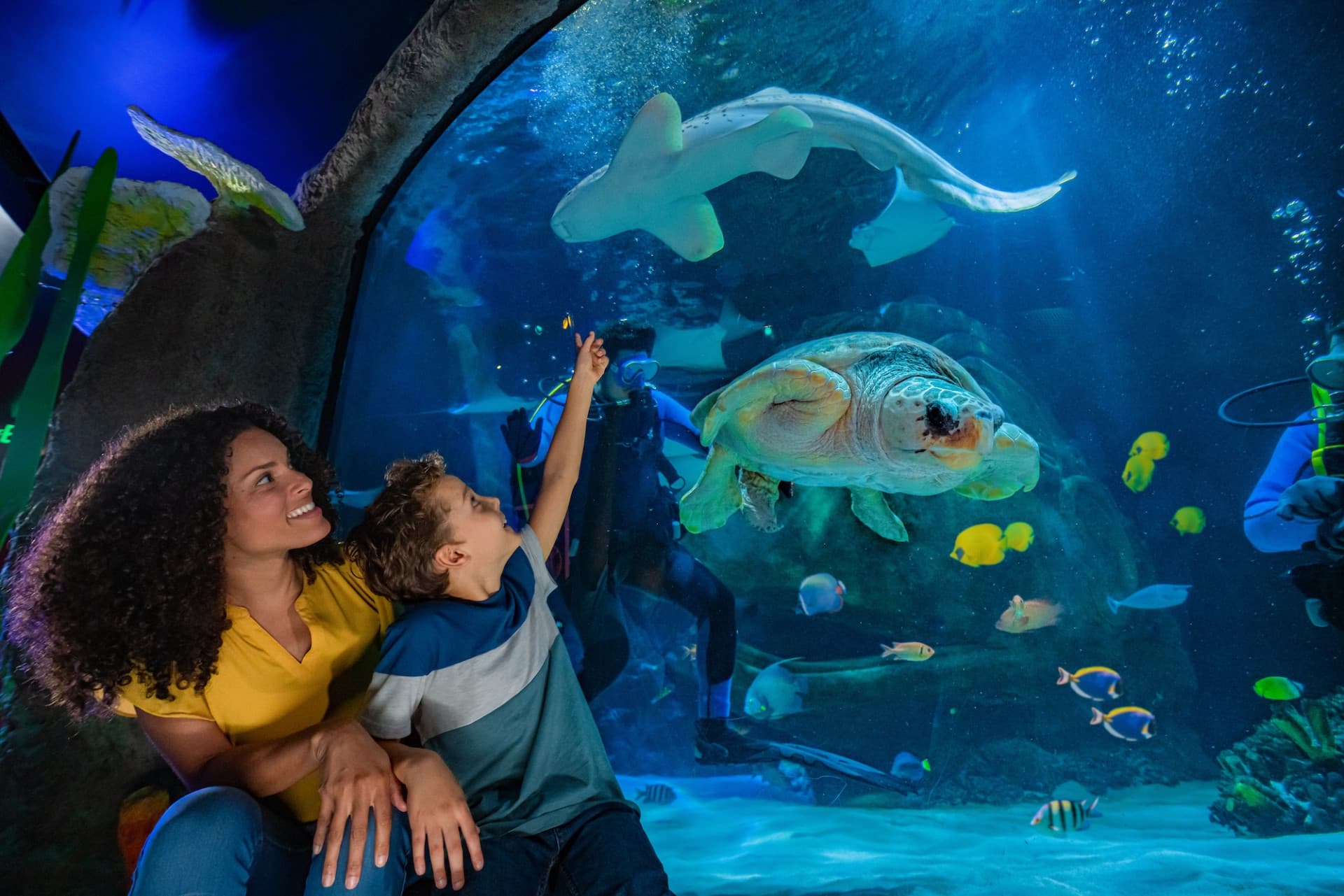 SEA LIFE Orlando Aquarium Ticket - image 2