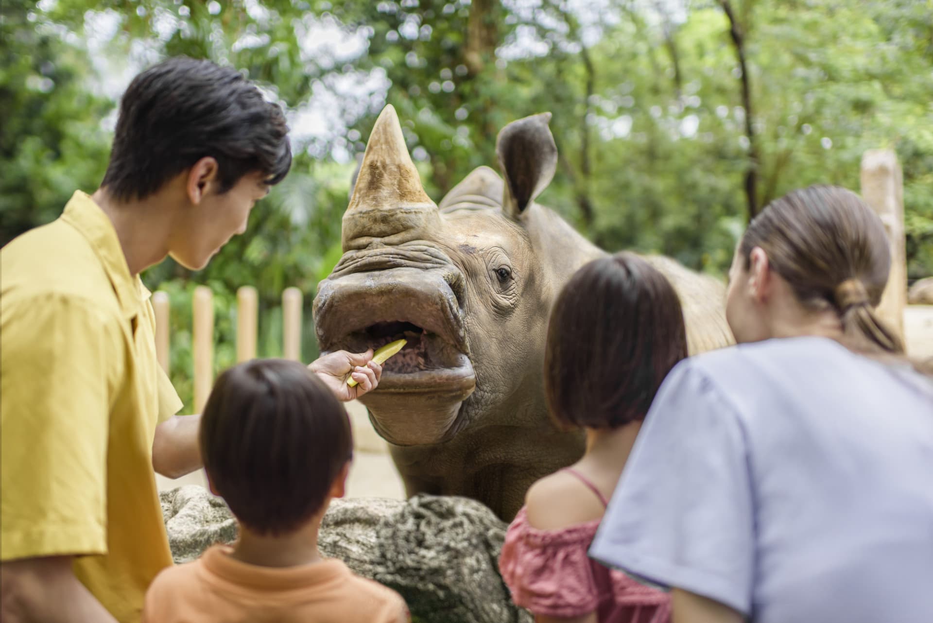 Entrada para el Singapore Zoo - imagen 11