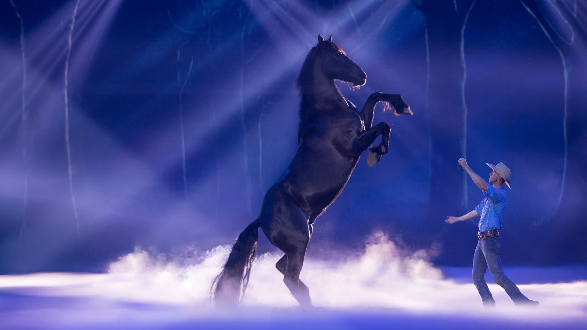 Australian Outback Spectacular Dinner Show Ticket - image 3