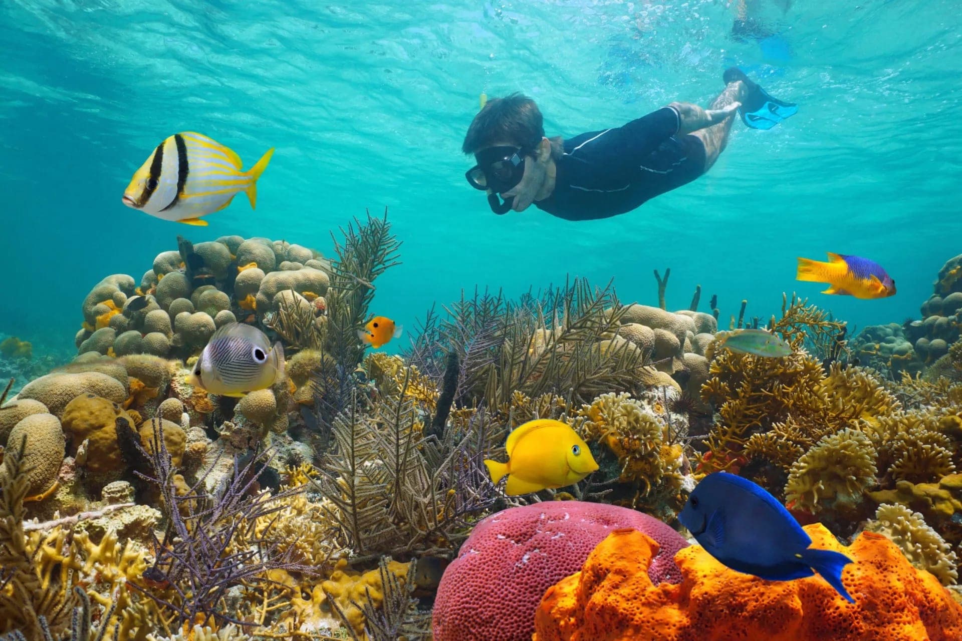 Key West: 3hr Snorkeling Experience with Unlimited Drinks - main image