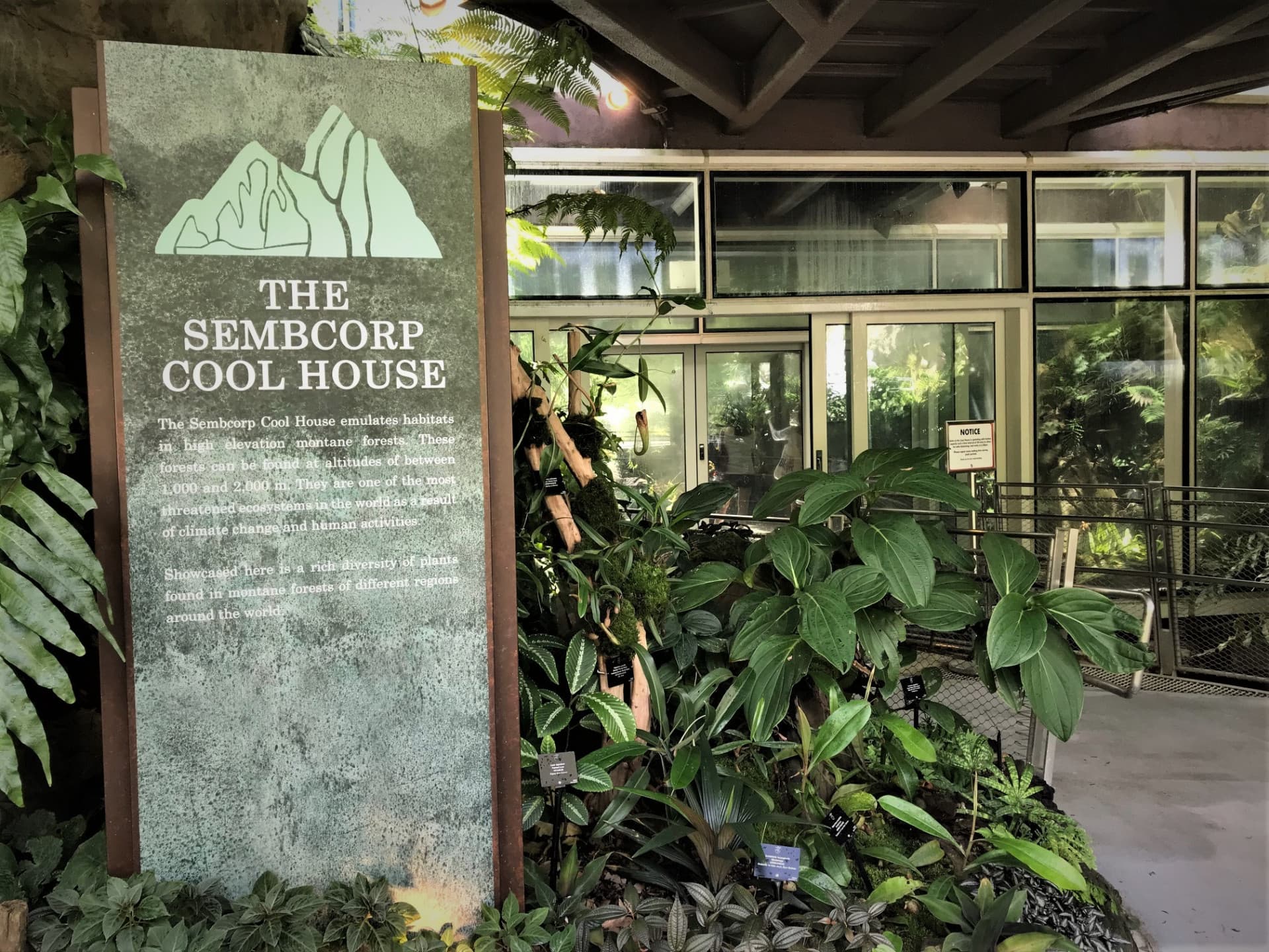 COMBO: Gardens by the Bay + National Orchid Garden Ticket - image 10