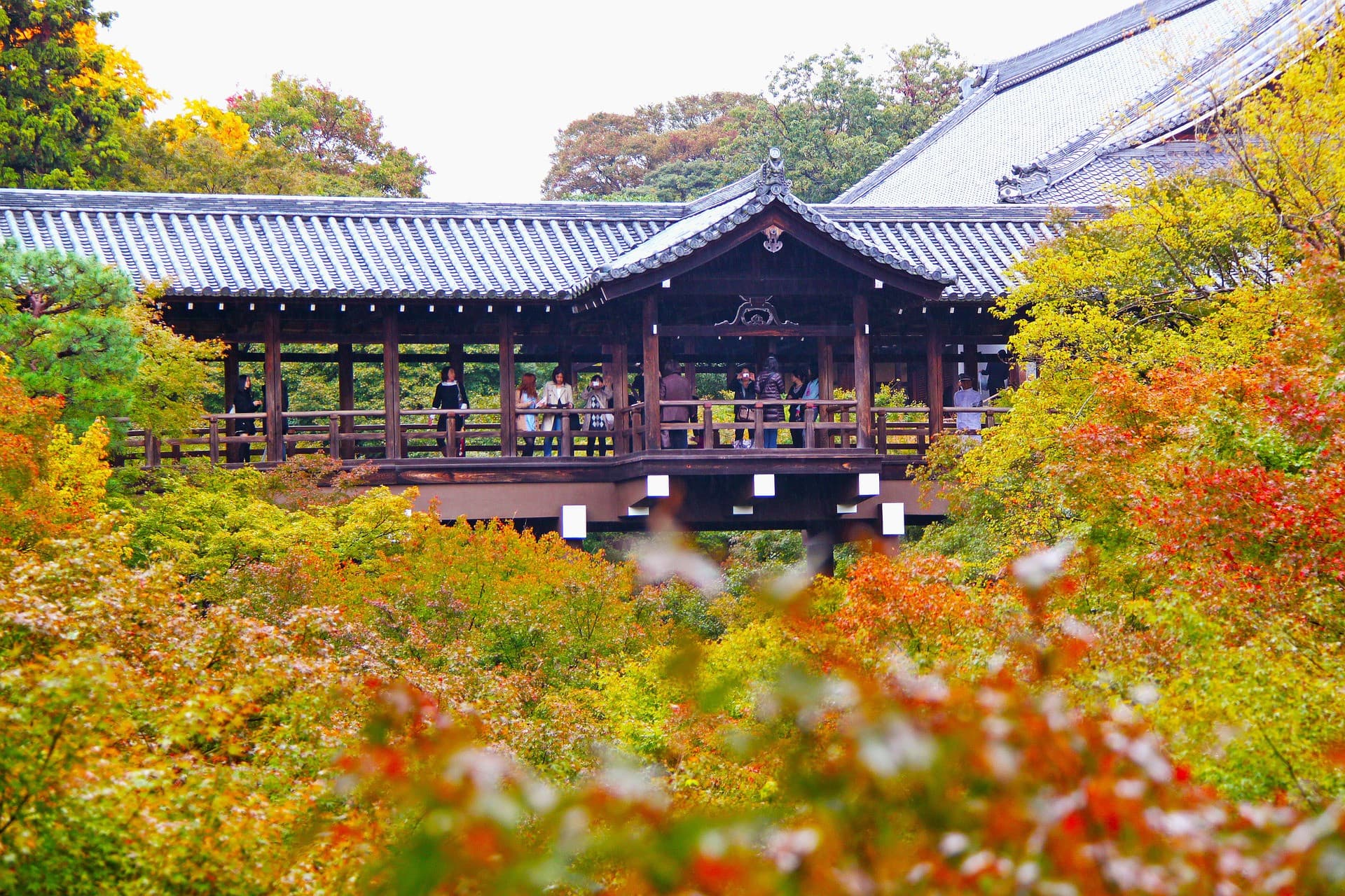 Kyoto-Osaka Sightseeing Pass - image 5