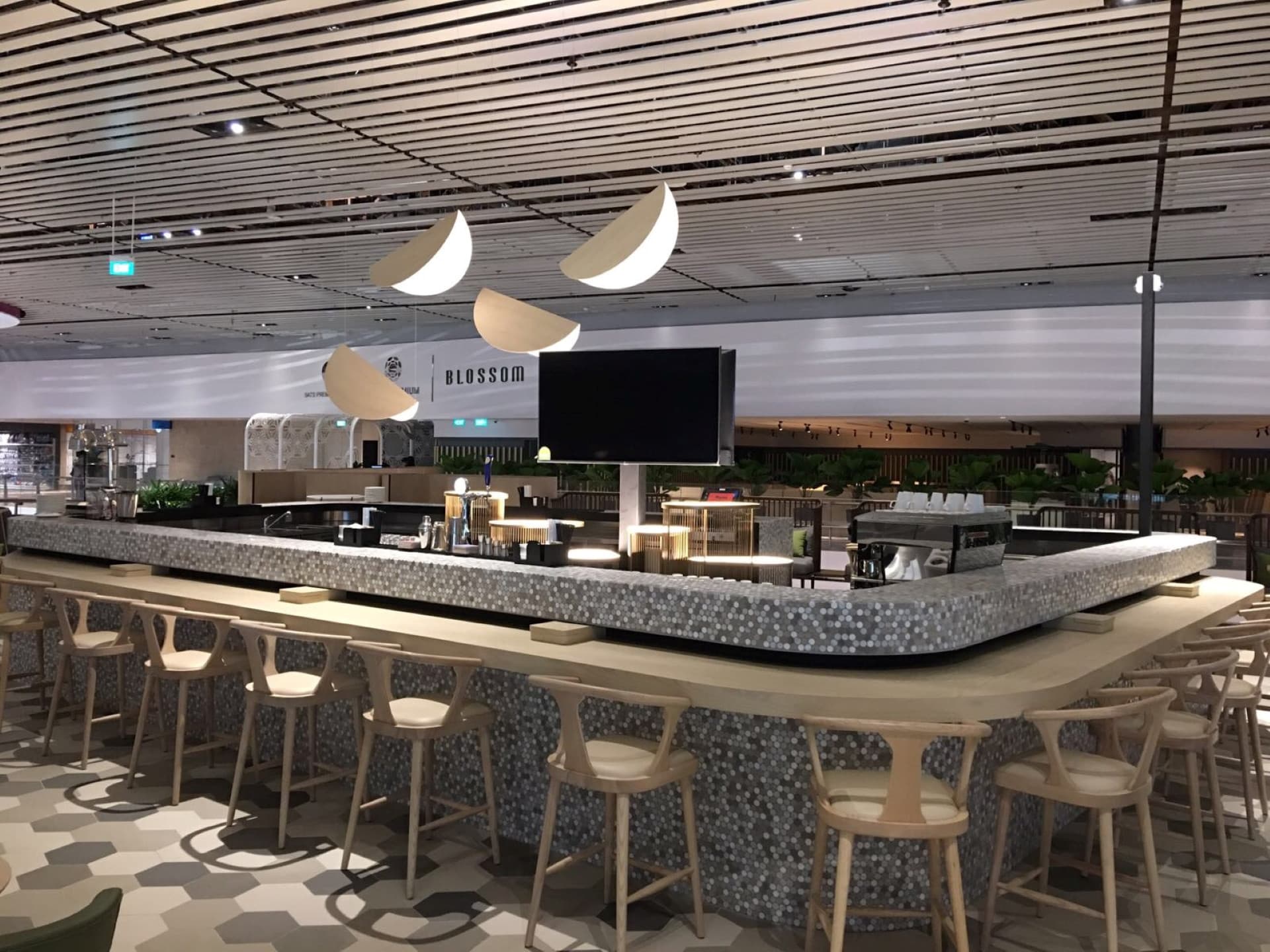 Blossom SATS & Plaza Premium Lounge - Aeropuerto Changi de Singapur Terminal 4 - imagen principal