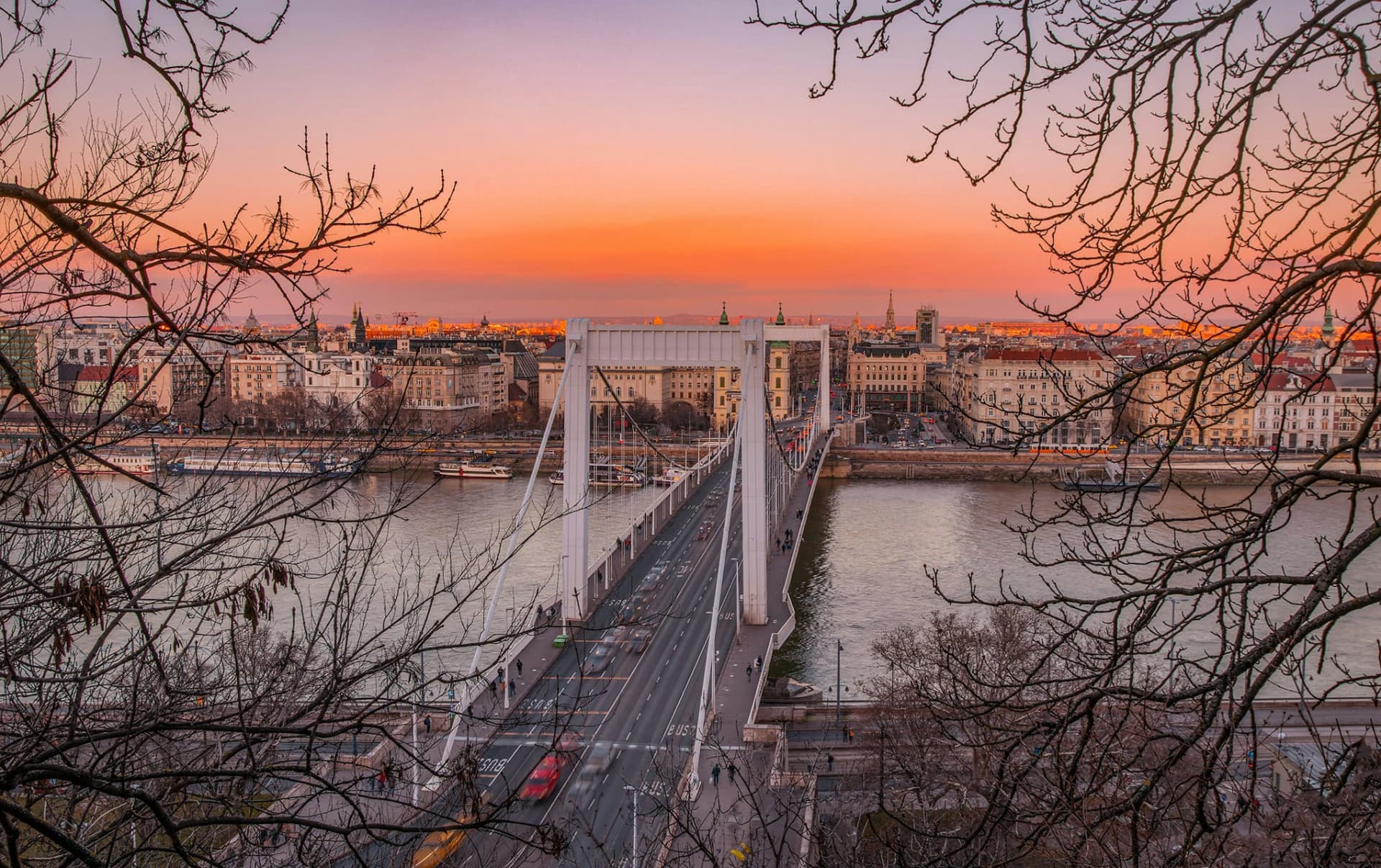 Budapest Parliament Panorama Sightseeing Cruise from Buda - image 6