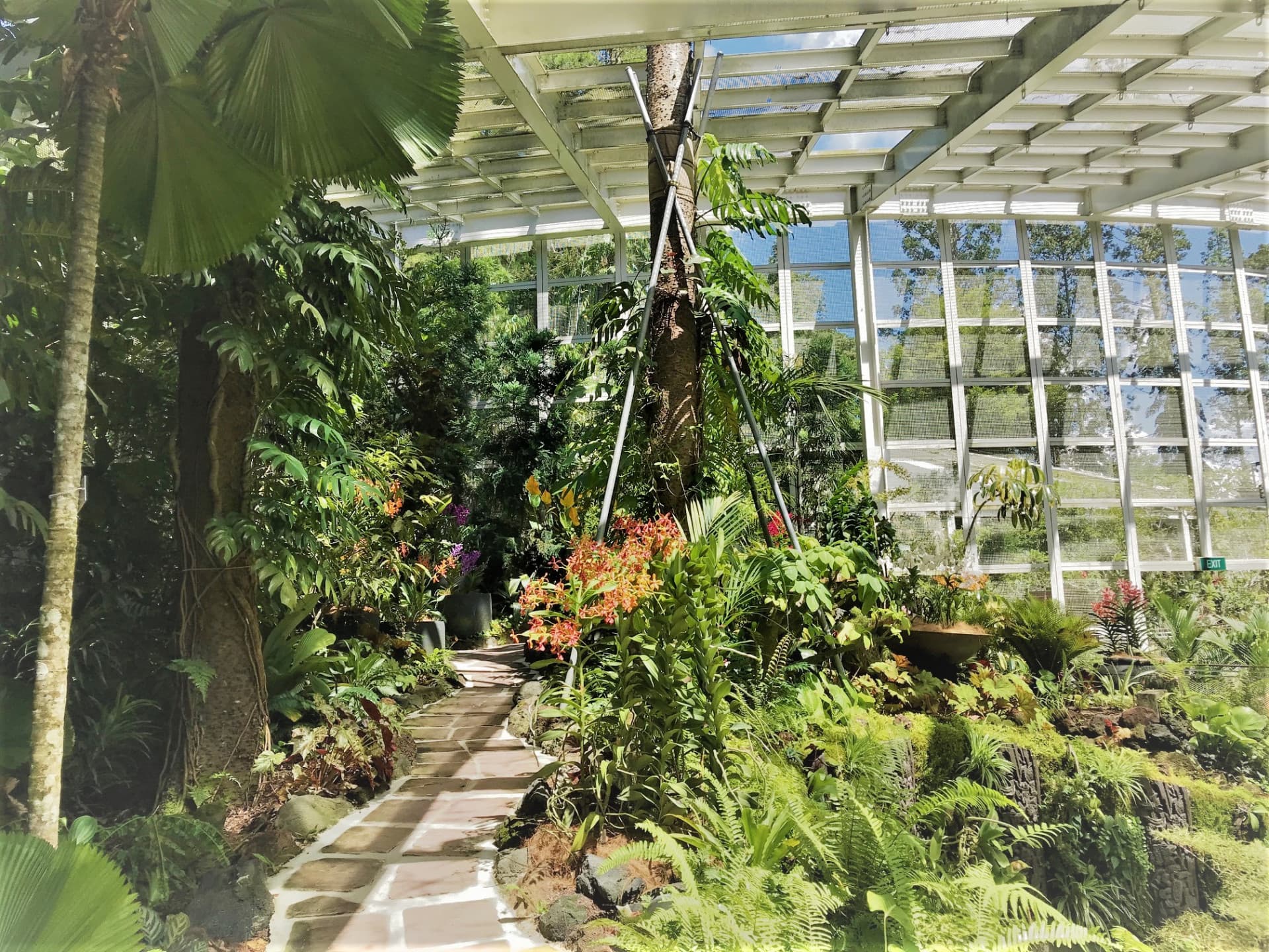 National Orchid Garden Ticket - image 7