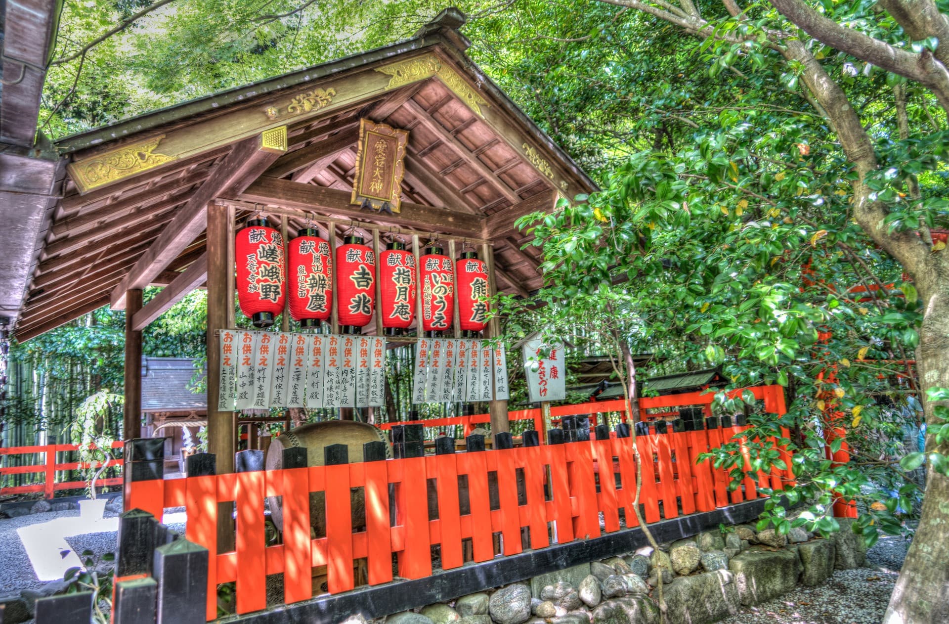 Sagano Bamboo Grove and Arashiyama Half-Day Walking Tour - image 5