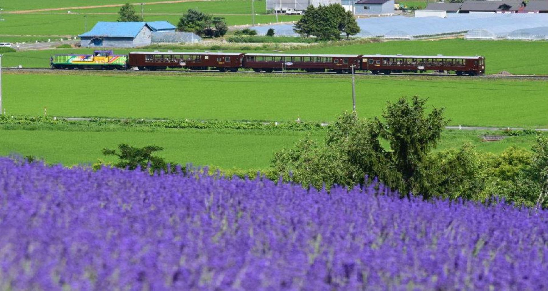 Hokkaido Rail Pass - image 8