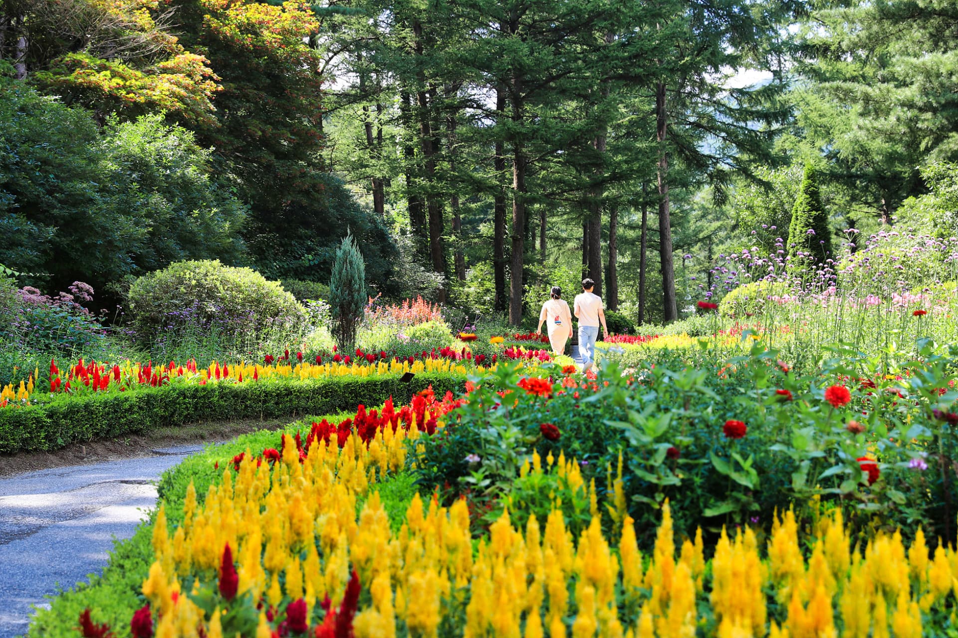 Nami Island, Mount Seorak, and Garden of Morning Calm Full-Day Tour from Seoul - image 29