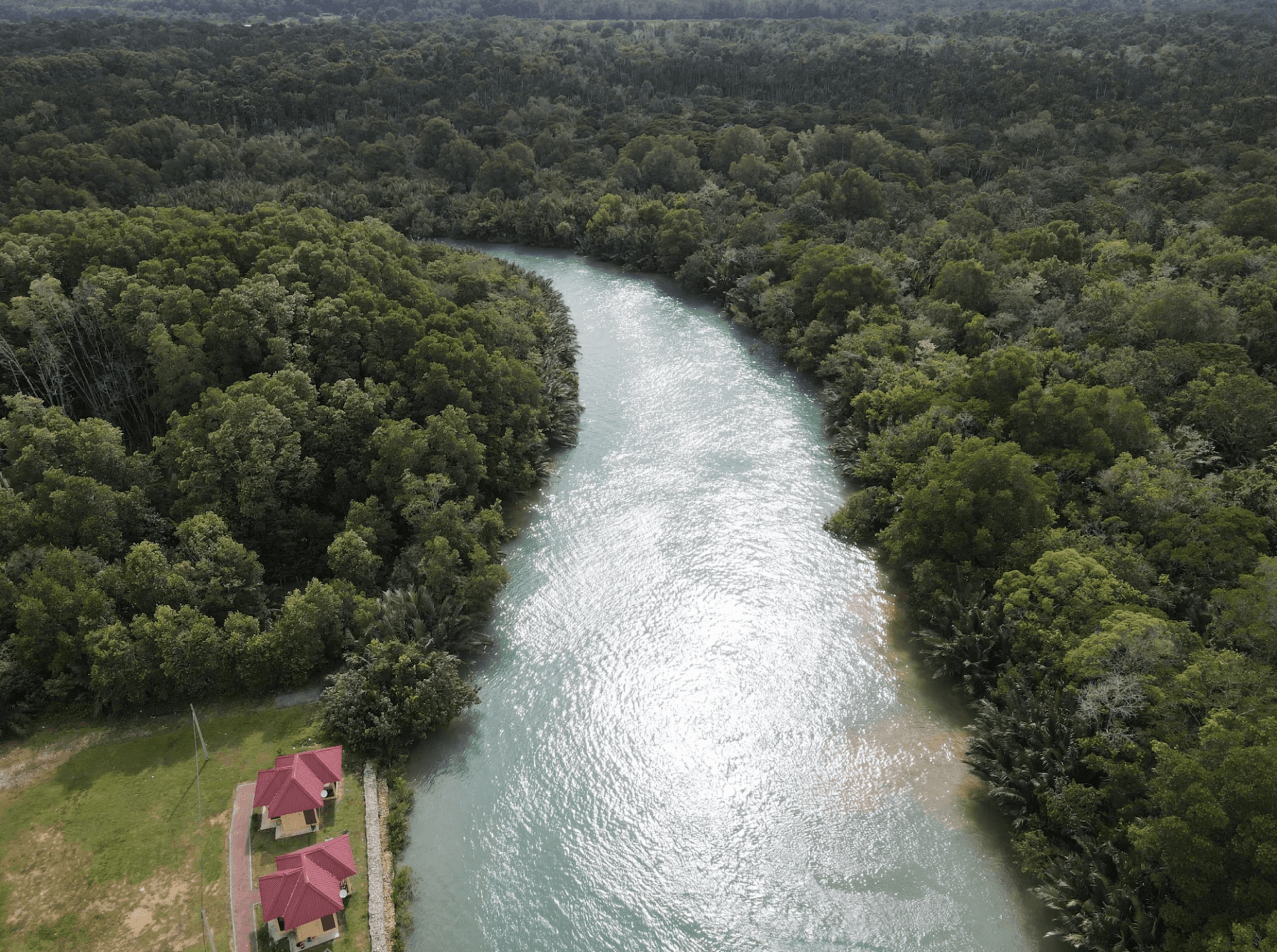 Lebam River Kayaking Adventure - main image