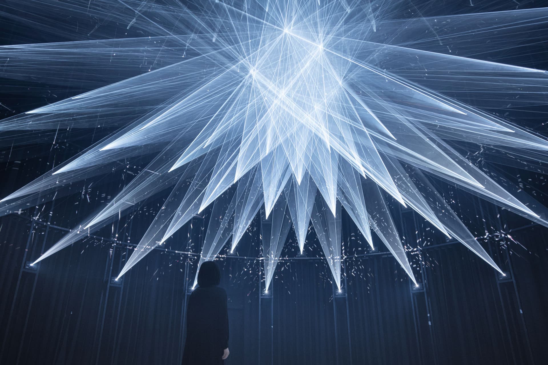 teamLab SuperNature Macao 3D Interactive Exhibition Ticket - image 6