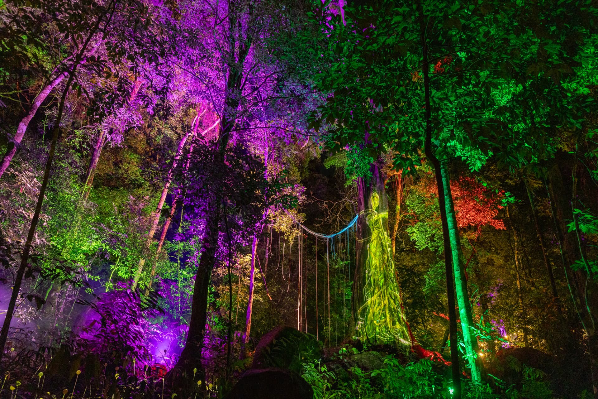 Dream Forest Langkawi - imagen 3