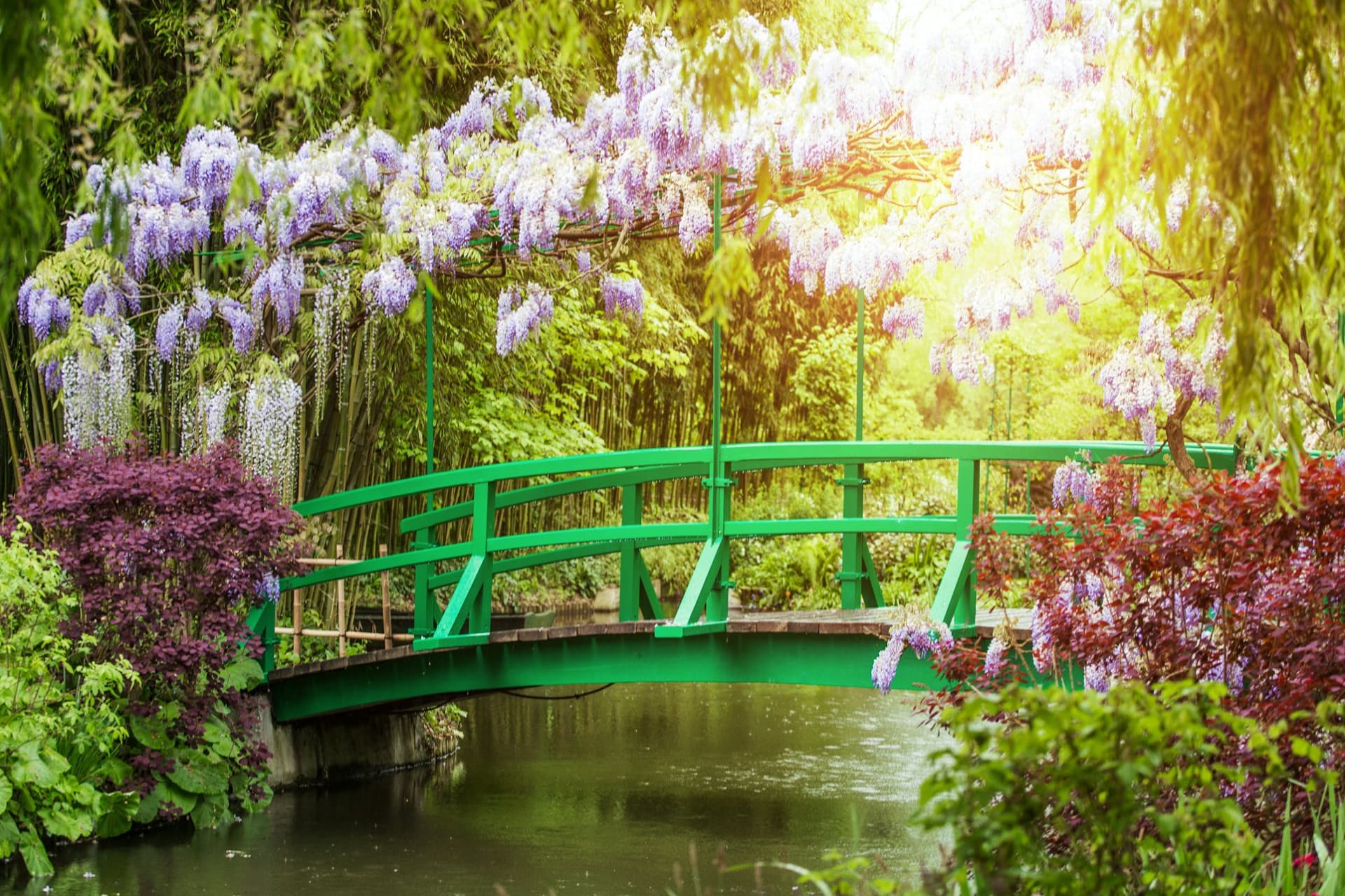 Giverny: Impressionist Day Trip from Paris with Audio Guide - image 11