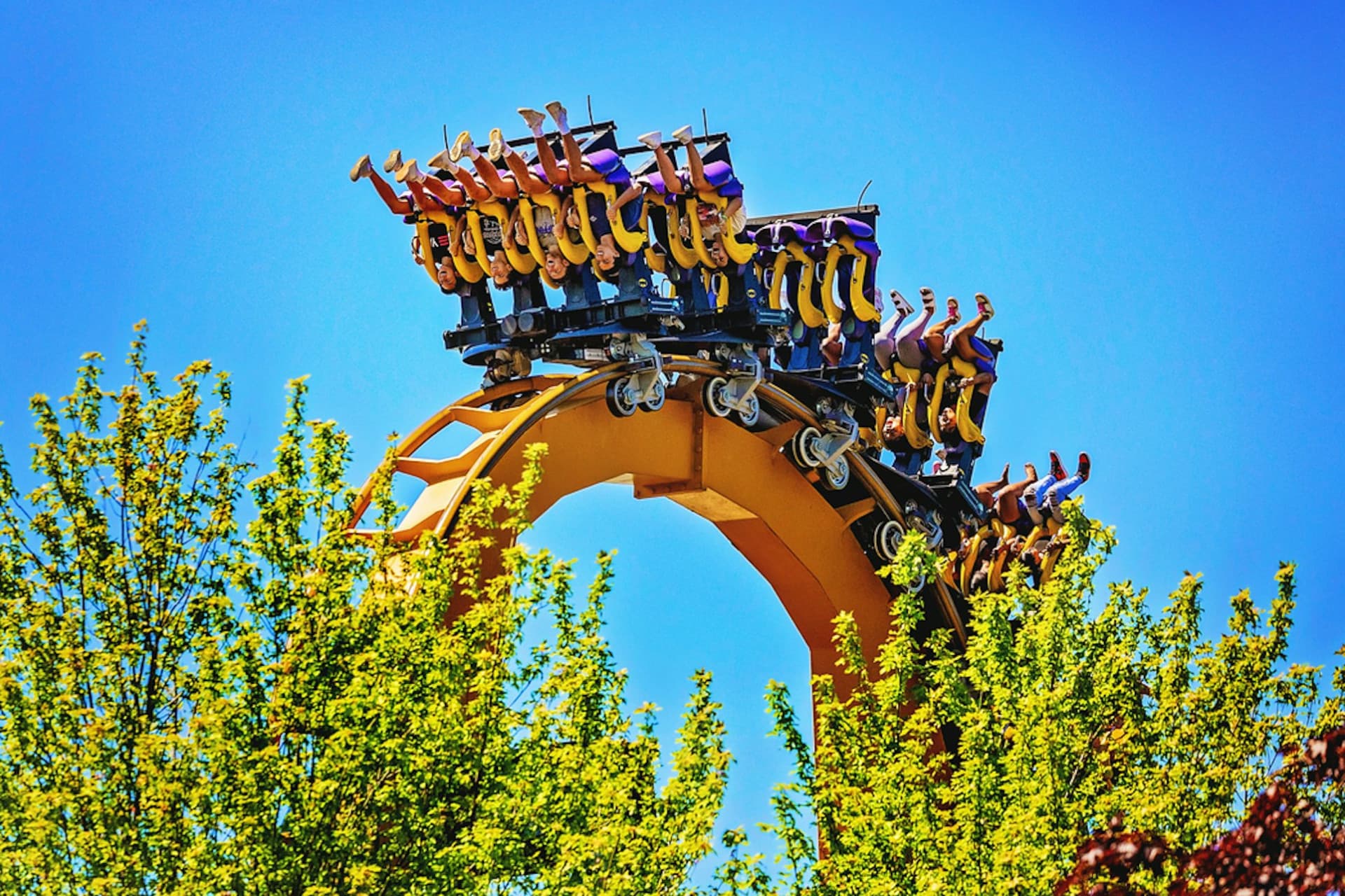 Six Flags Great America Ticket - image 3