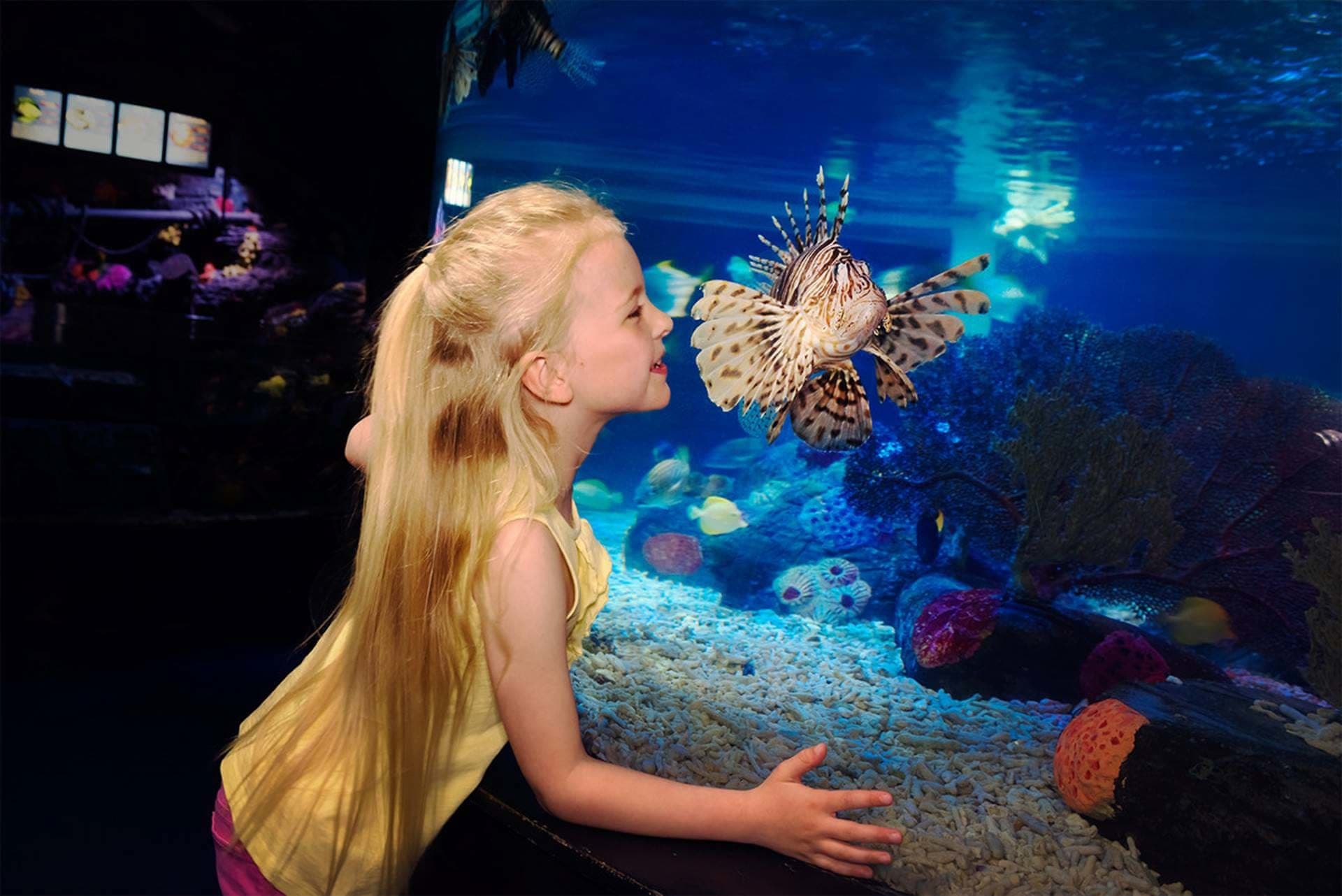 SEA LIFE London Aquarium Ticket - image 15