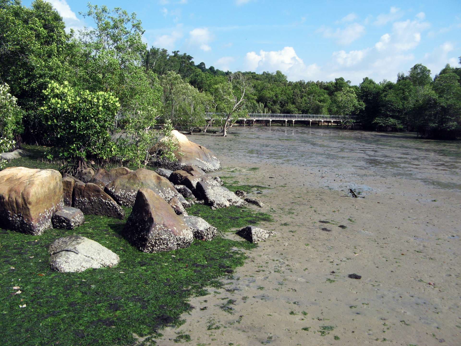 Pulau Ubin Cycling Tour - image 5