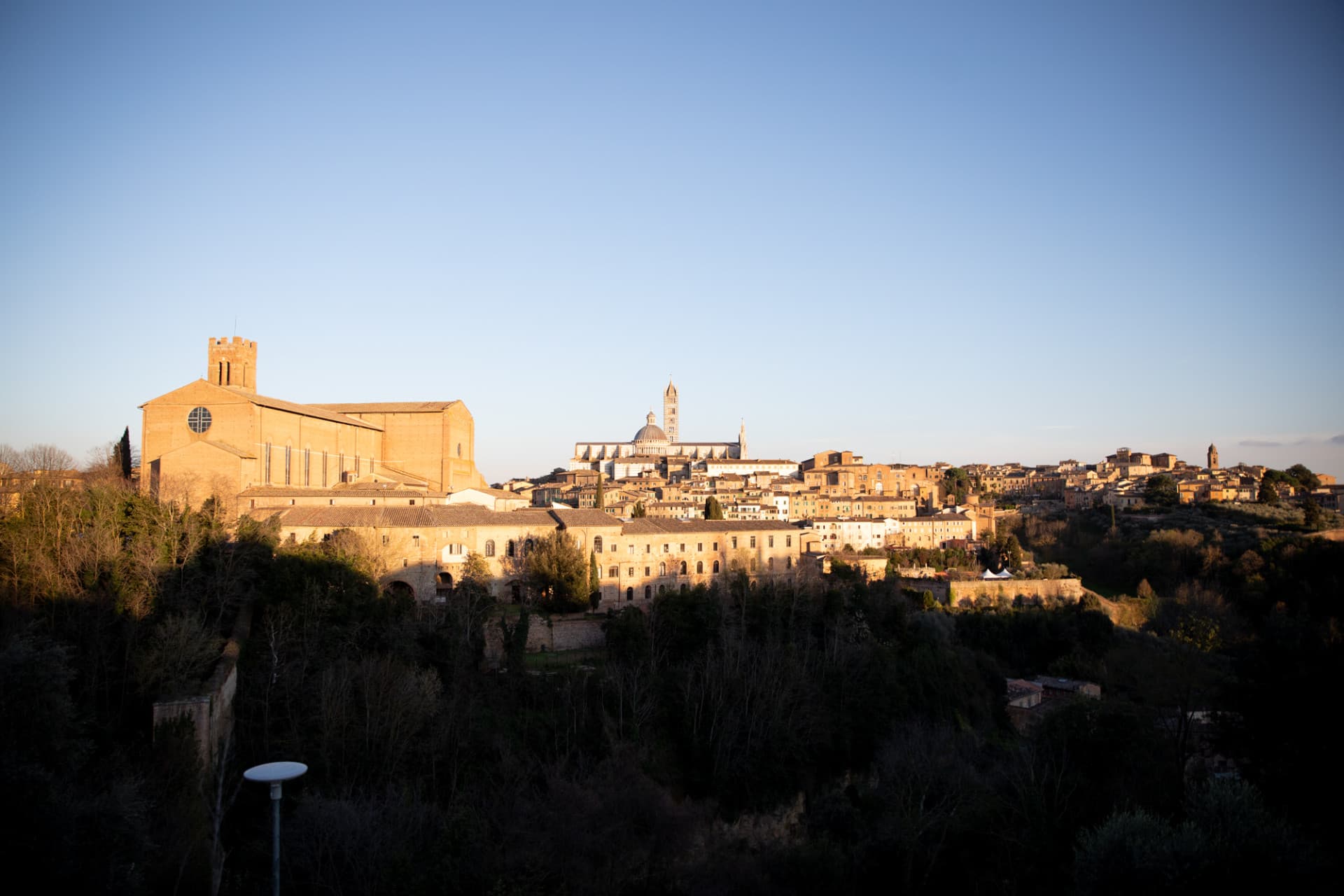 Tour de día completo por la Toscana desde Florencia: Pisa, Chianti, San Gimignano, Siena - imagen 13