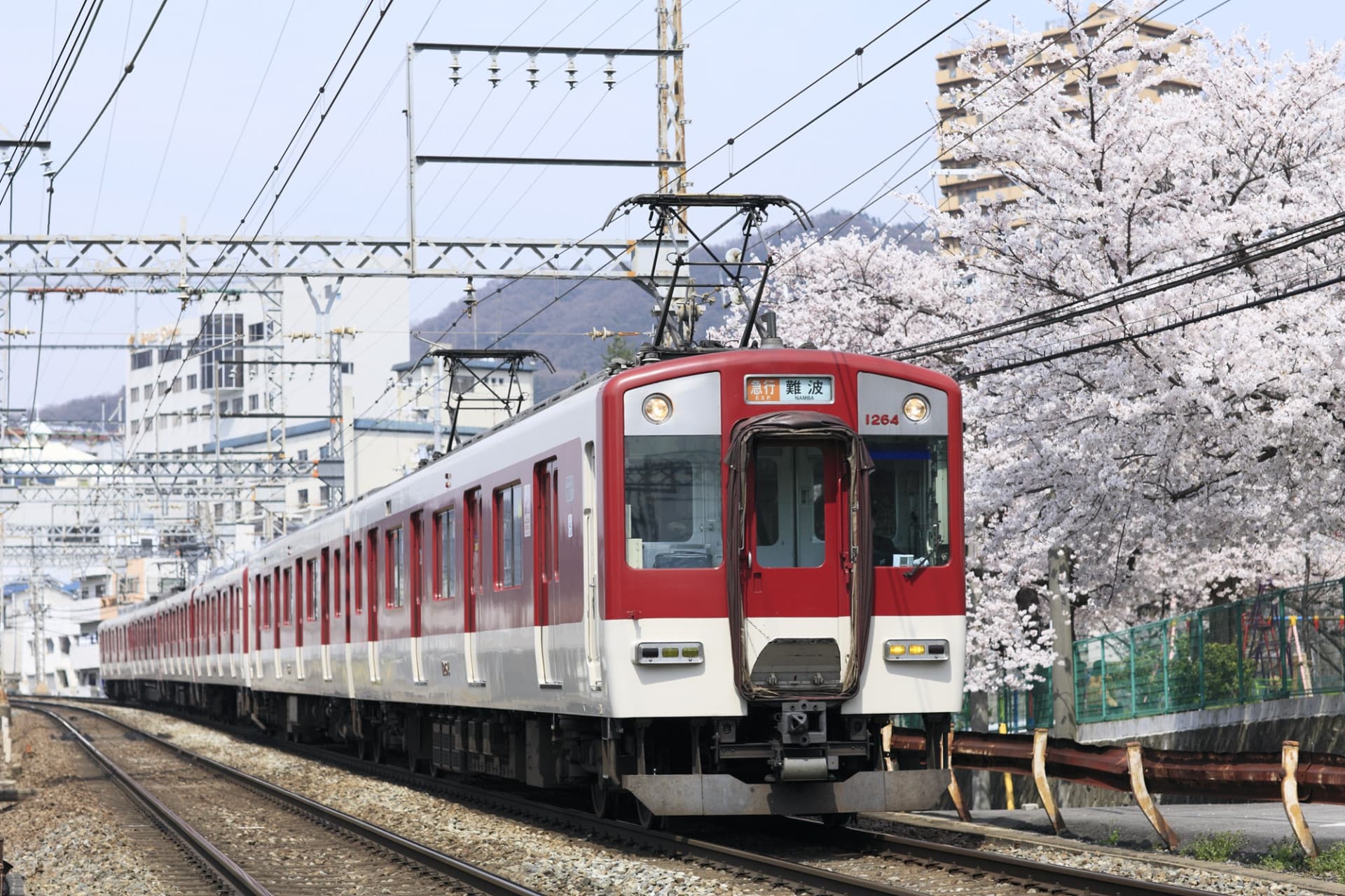 Pase ferroviario de Kansai - imagen 5