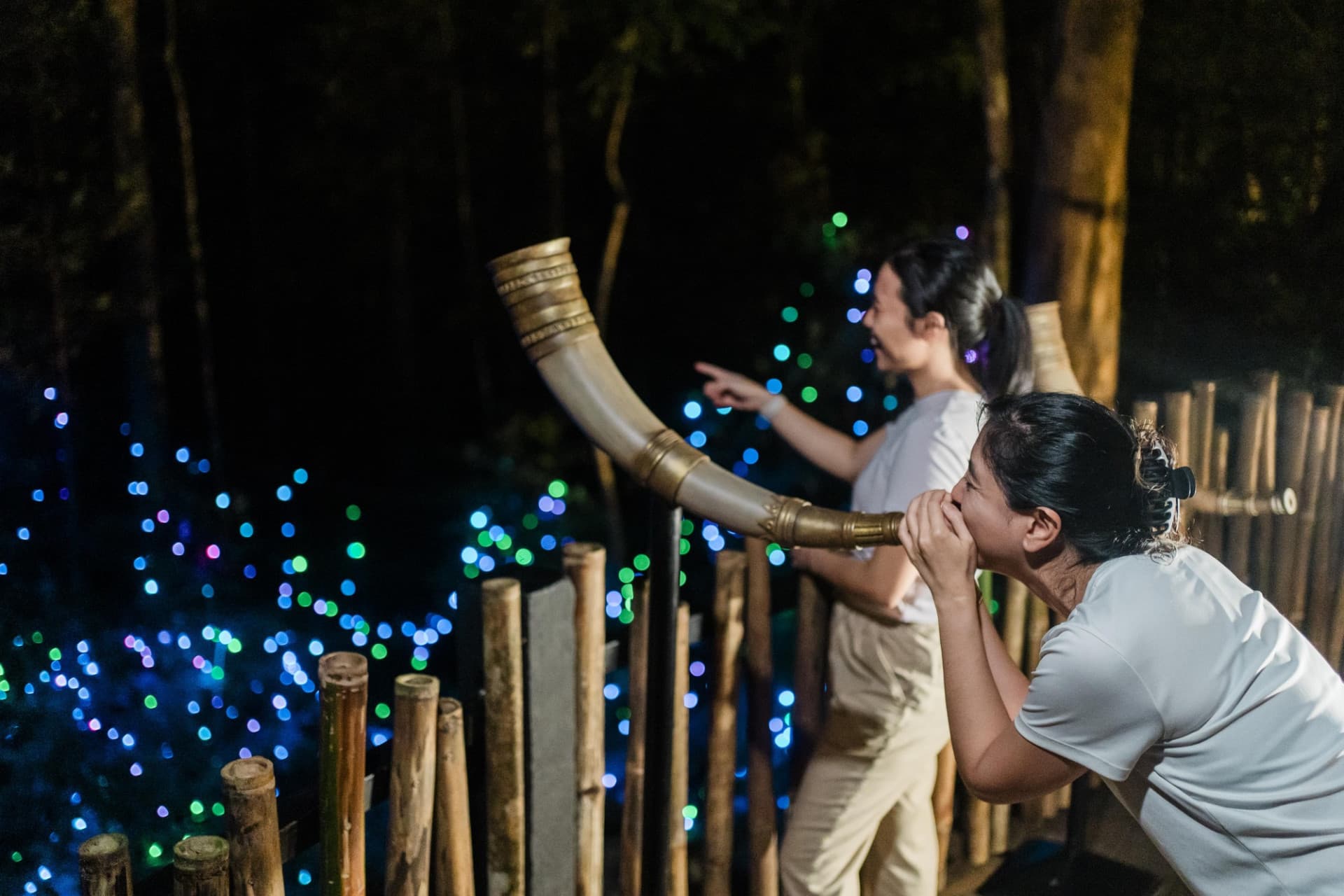 Dream Forest Langkawi - imagen 6