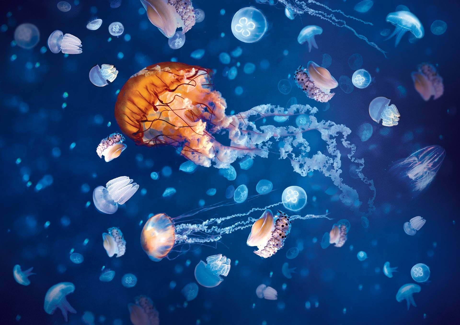 SEA LIFE London Aquarium Ticket - image 11