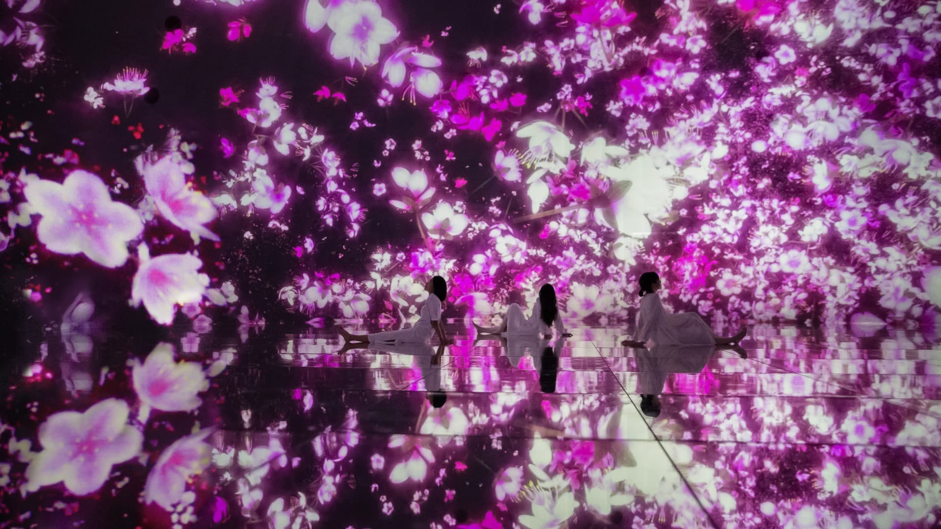 teamLab Planets TOKYO Ticket - main image