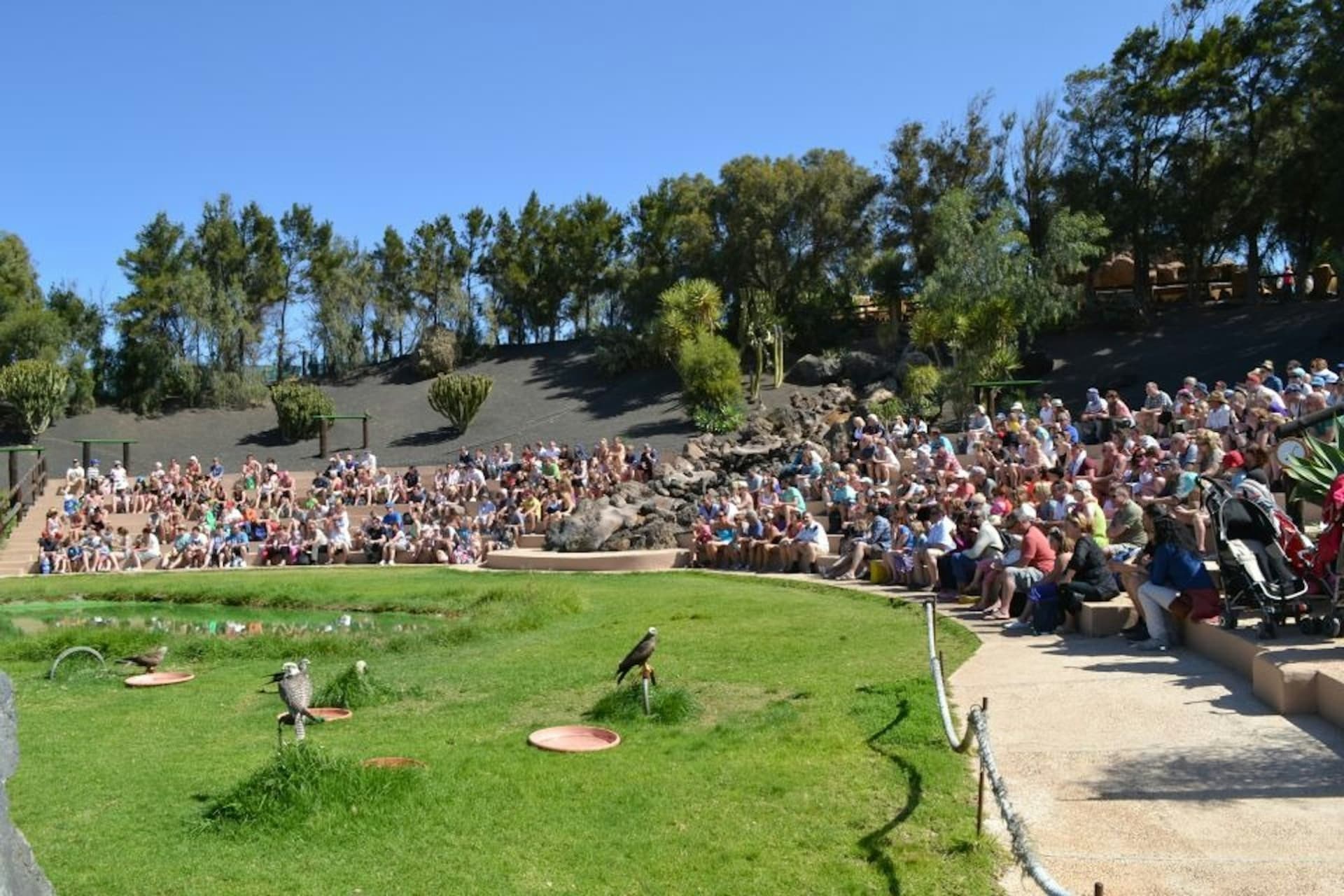 Rancho Texas Lanzarote Park Ticket - image 7