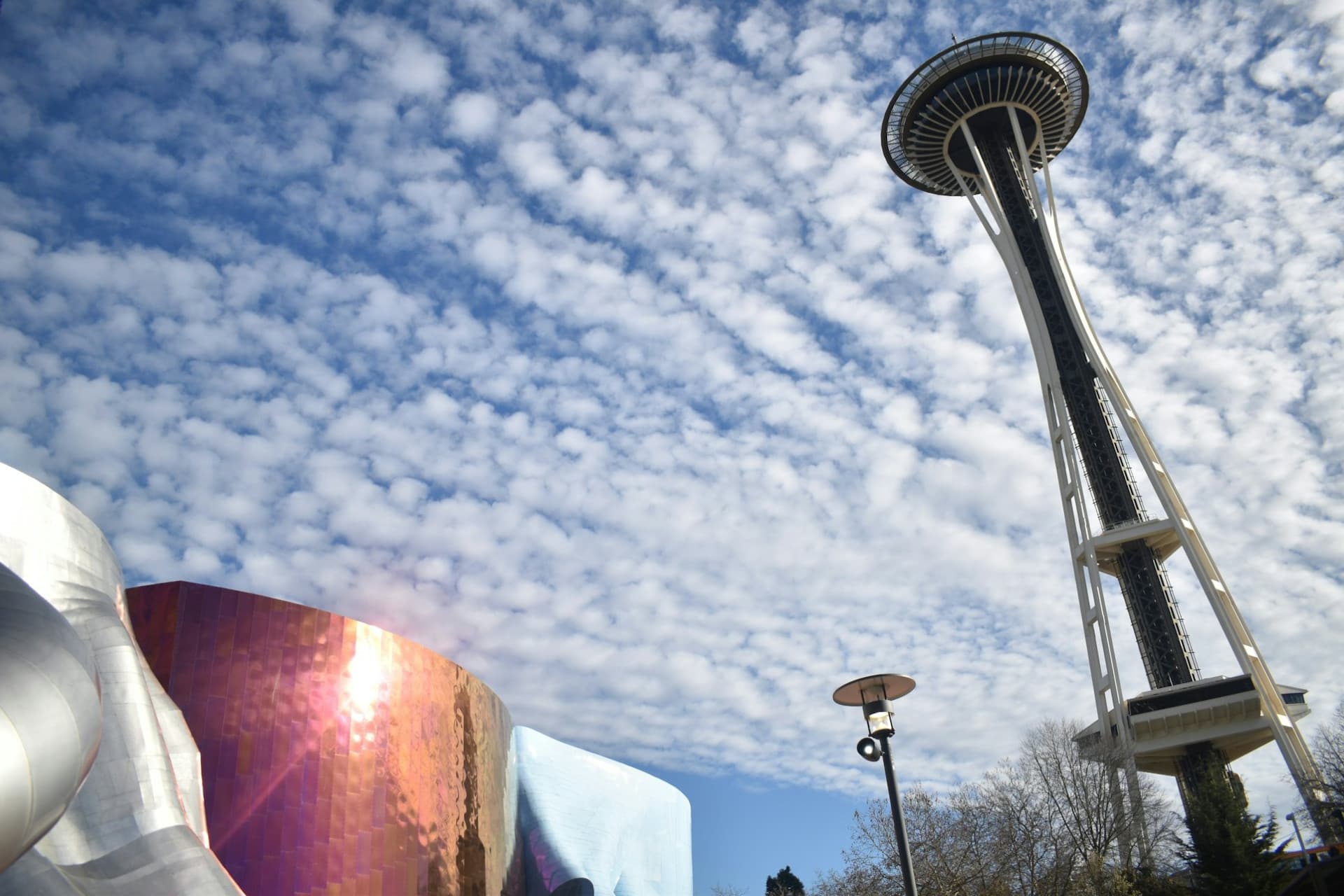 Seattle Center & Space Needle: Guided Walking Tour - main image