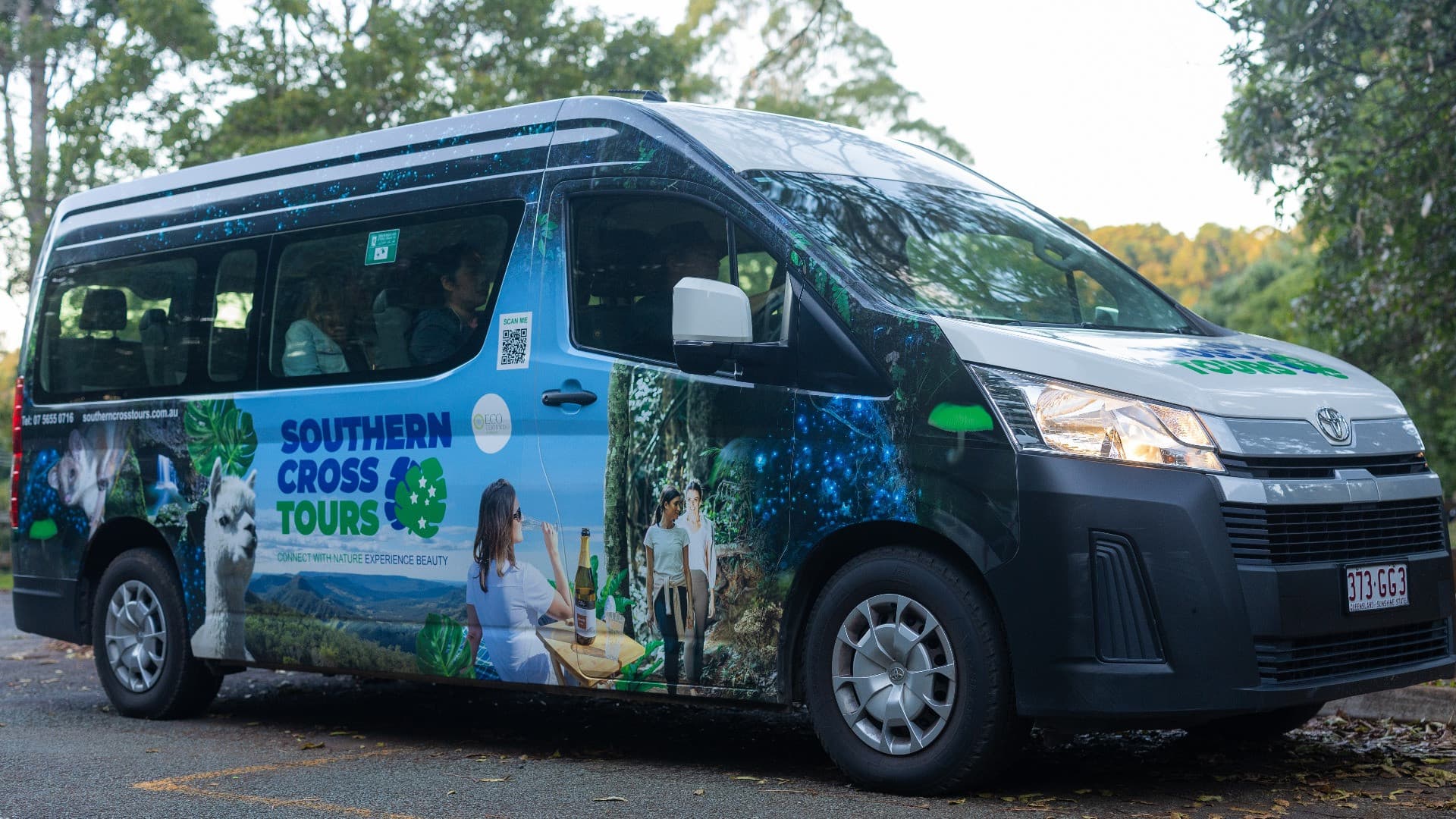 Guided Evening Rainforest Walk and Glow Worms Experience from Gold Coast - image 6