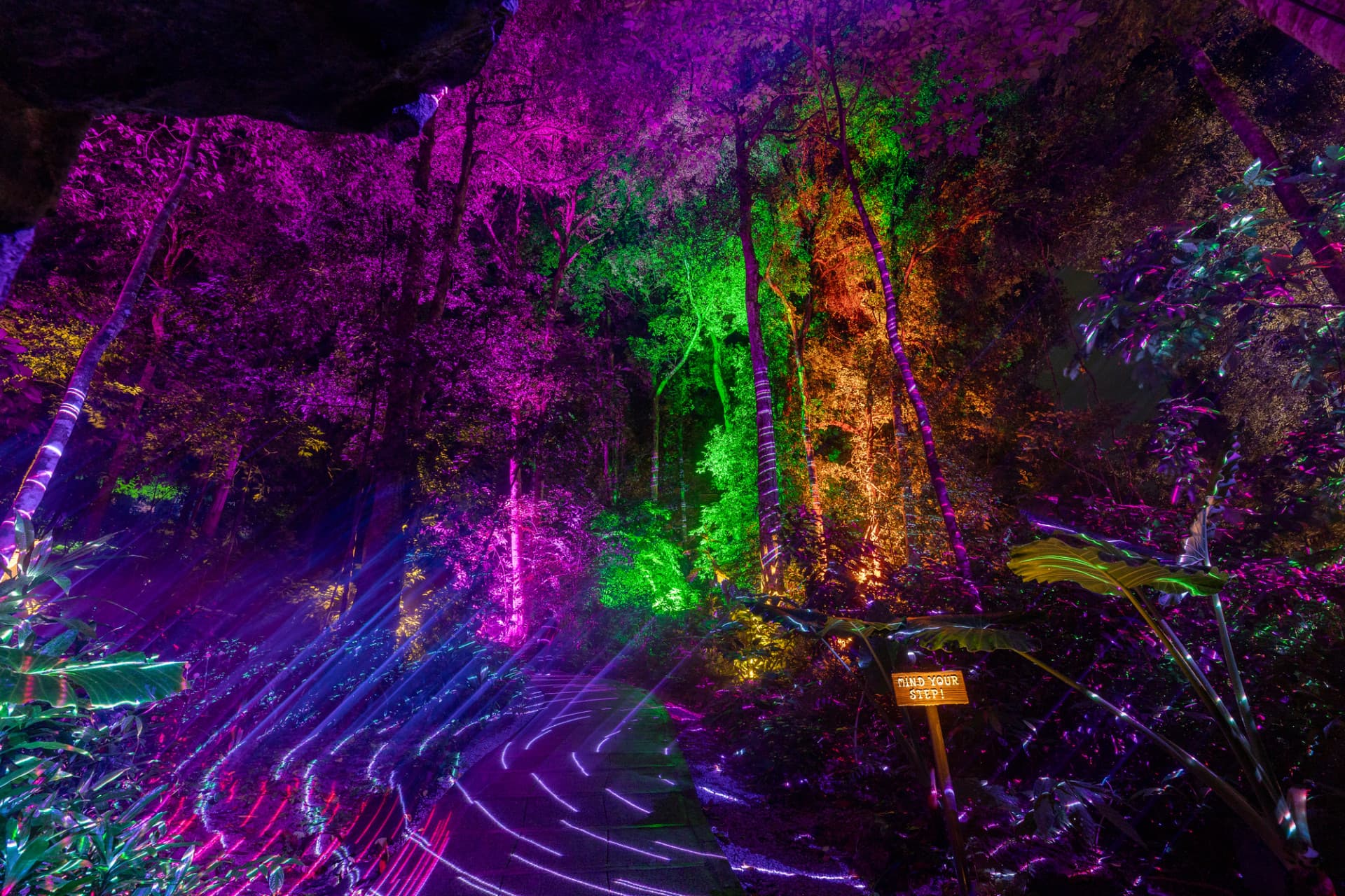 Dream Forest Langkawi - imagen 2