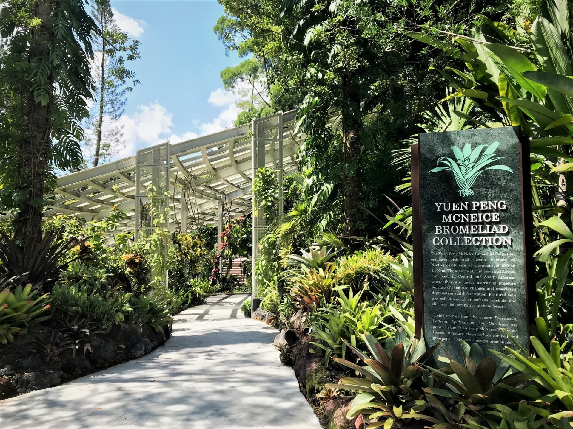 COMBO: Gardens by the Bay - Floral Fantasy + National Orchid Garden - image 5