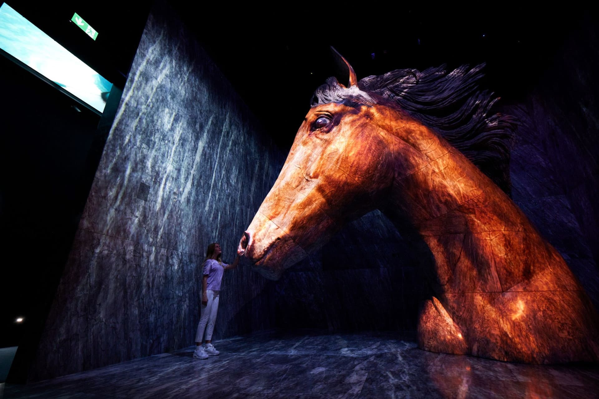 Entrada a Expo City Dubai - imagen 10