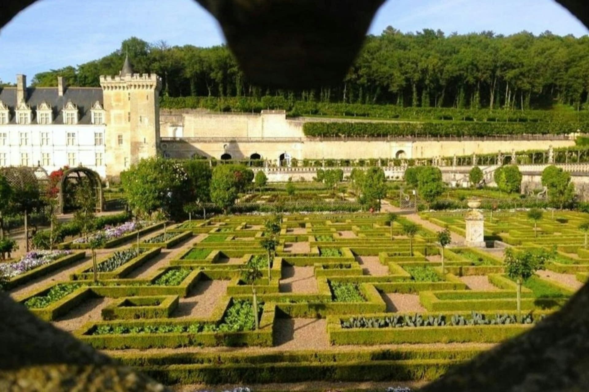 Chateau d'Azay-le-Rideau y jardines de Villandry: excursión guiada desde Tours con entrada - imagen 3