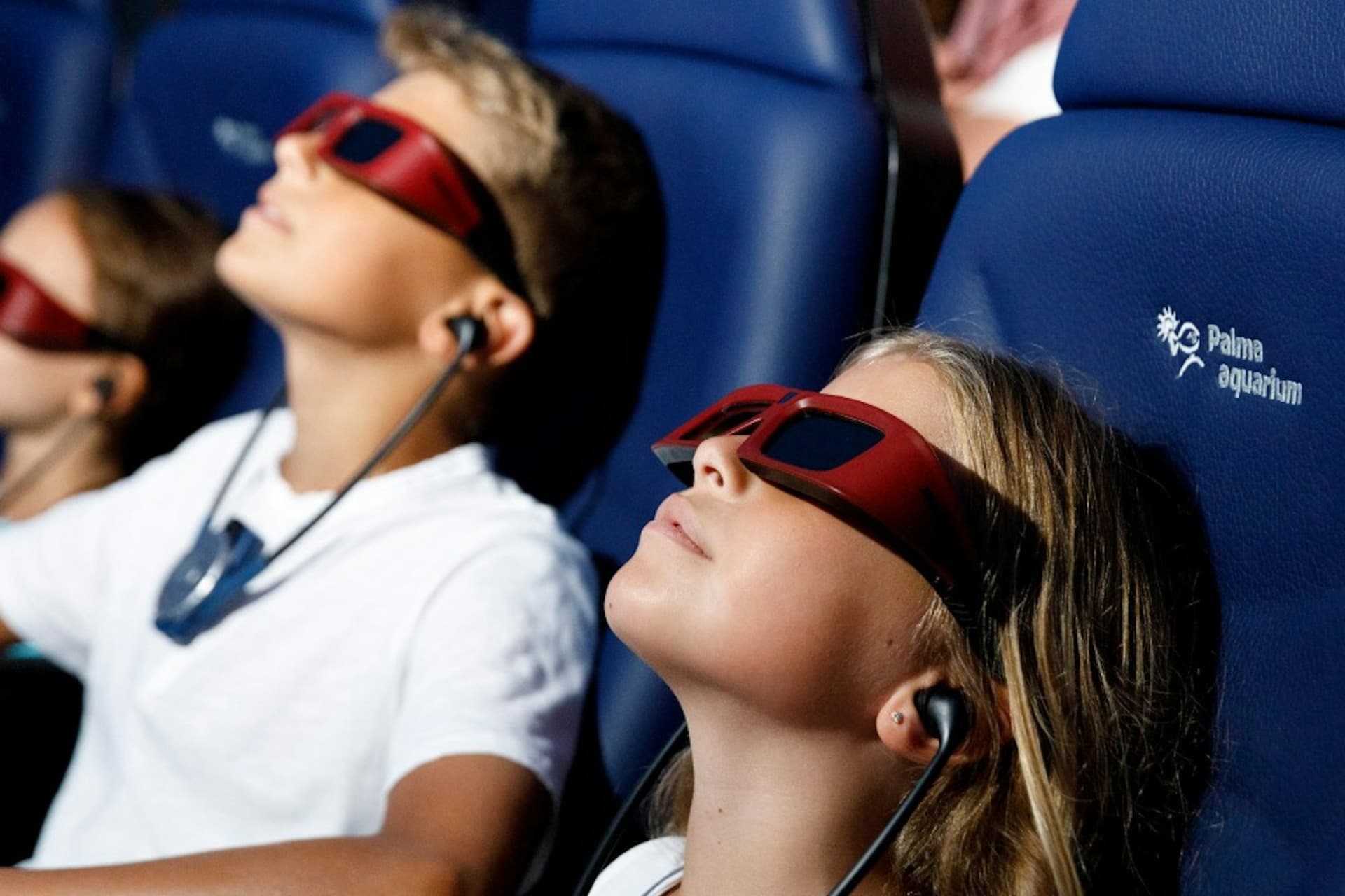 Palma Aquarium: Skip The Line Ticket + Optional 3D Cinema Aquadome - image 4
