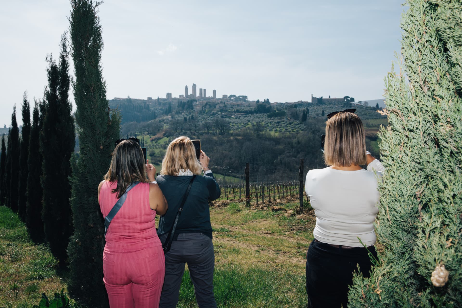 Tour de día completo por la Toscana desde Florencia: Pisa, Chianti, San Gimignano, Siena - imagen 6