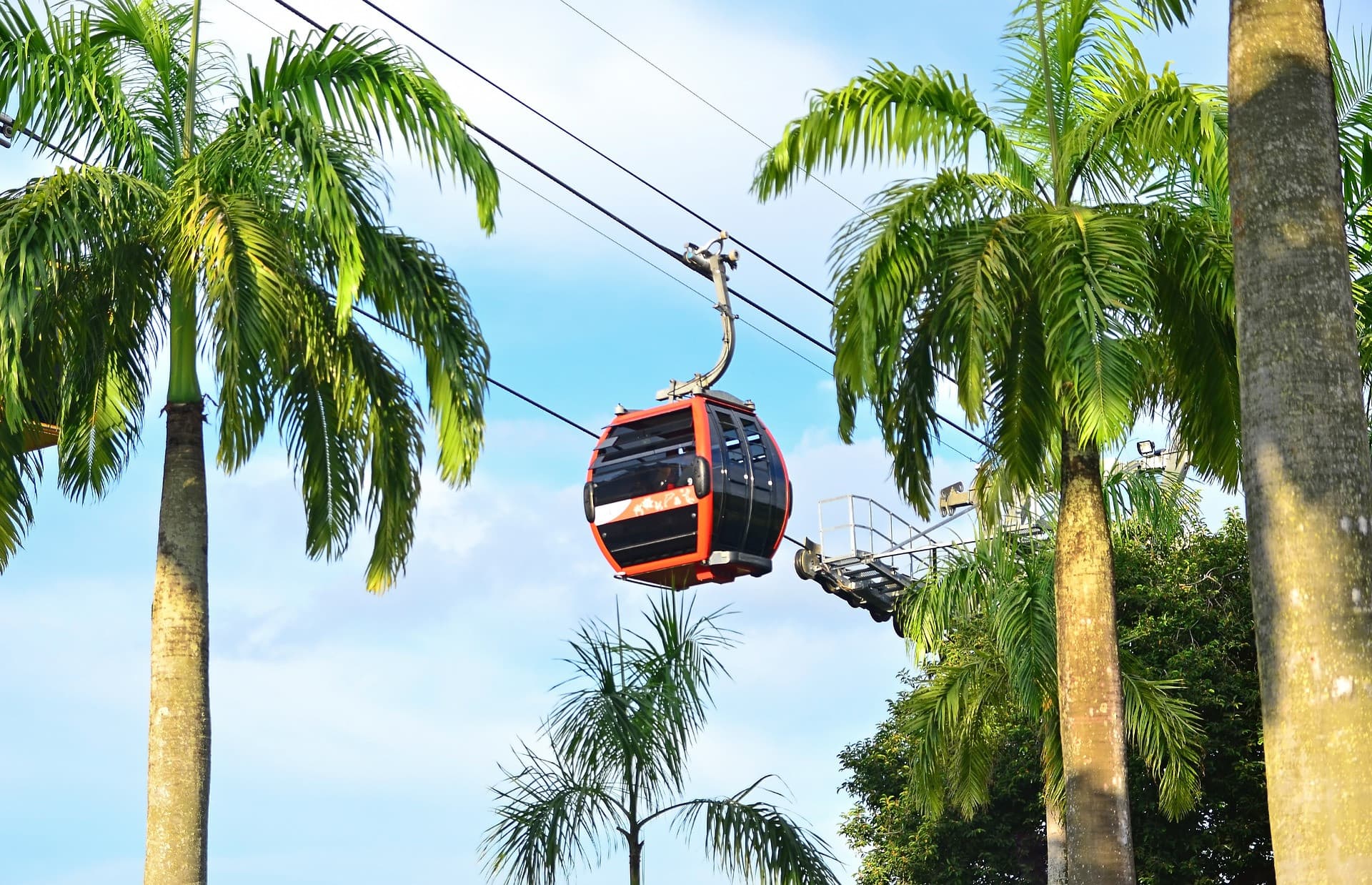 COMBO: Singapore Cable Car + Gardens by the Bay Ticket - image 5