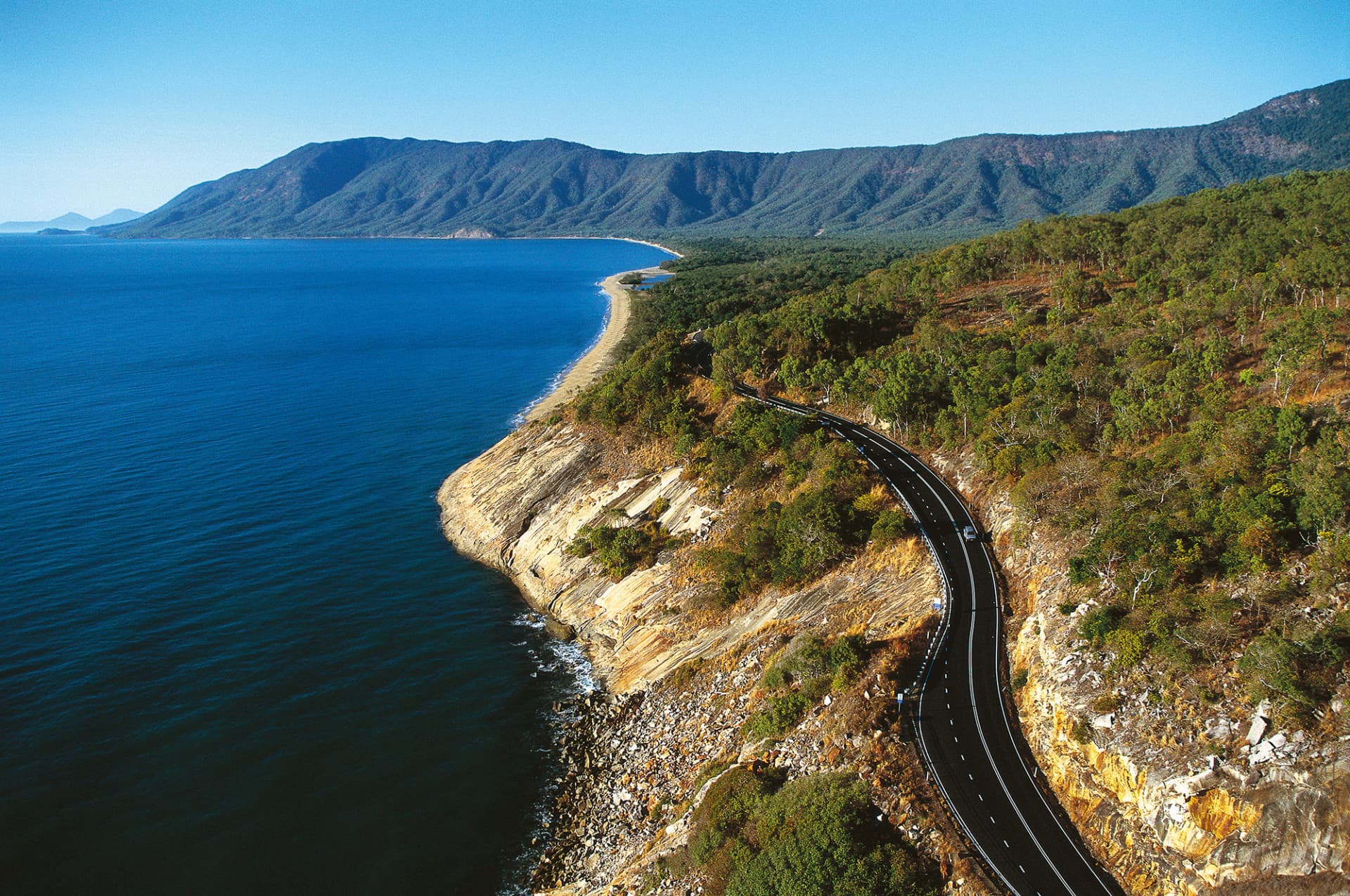 Cape Tribulation and Daintree Wilderness Full-Day Tour - image 3