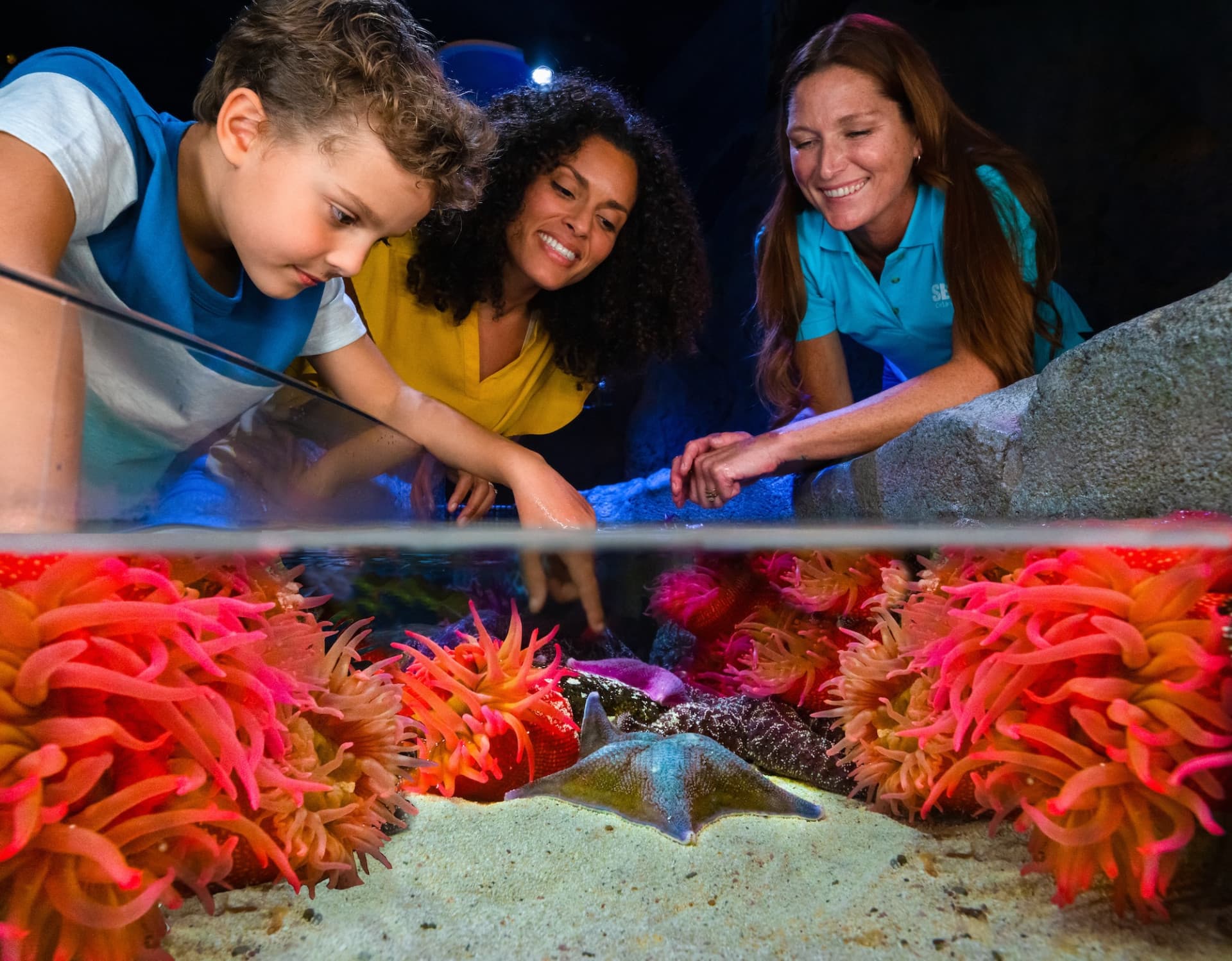 SEA LIFE Orlando Aquarium Ticket - image 3