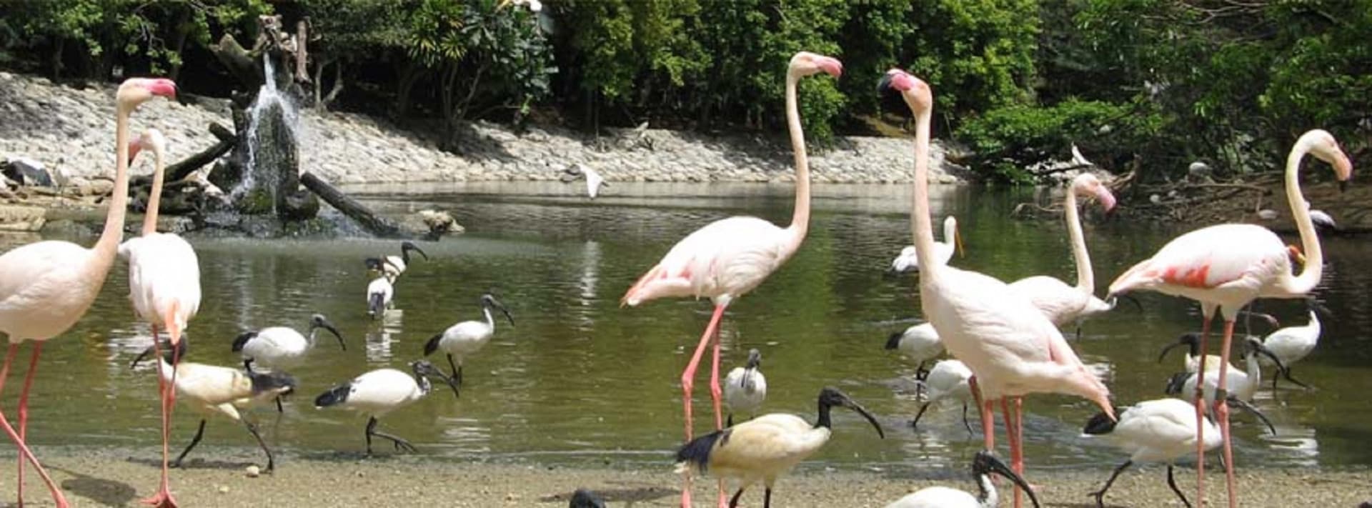 Neo Park Okinawa - image 8