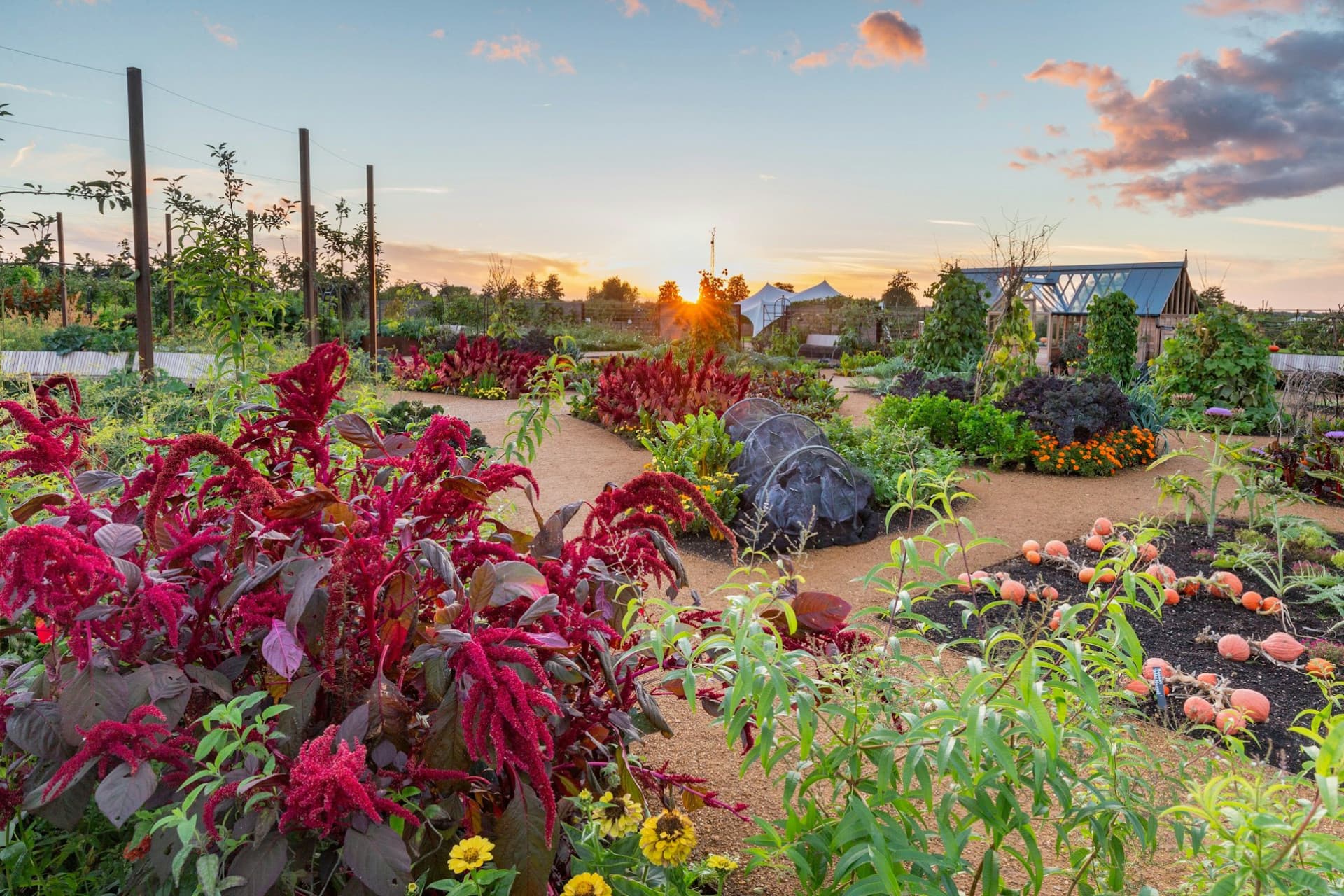 Entrada a RHS Garden Wisley - imagen 4
