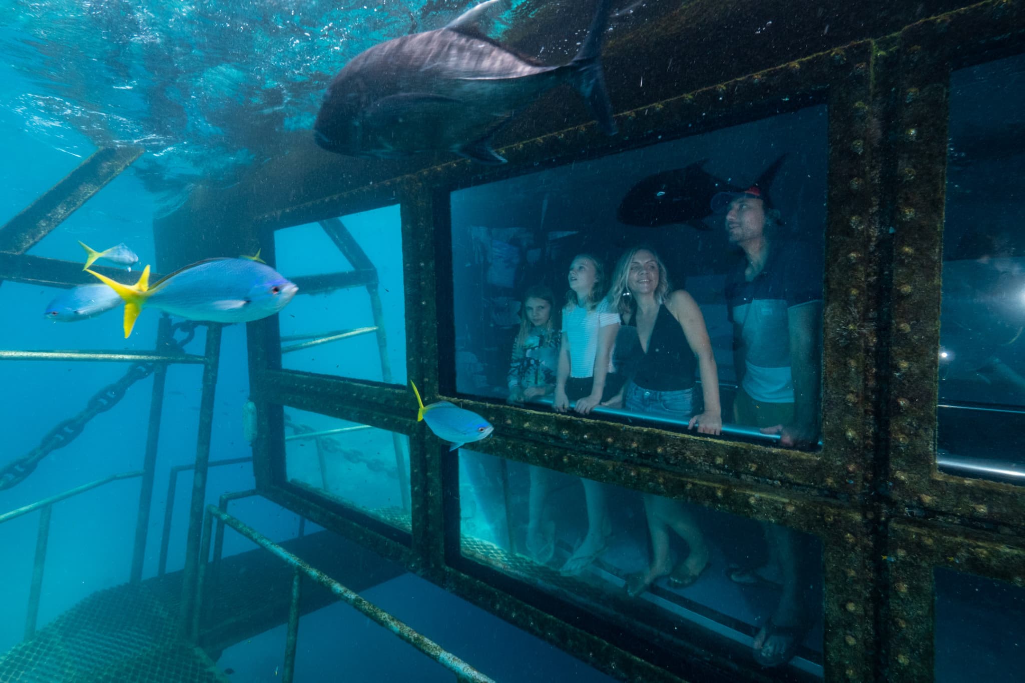 Reef Magic Pontoon Tour from Cairns - image 4