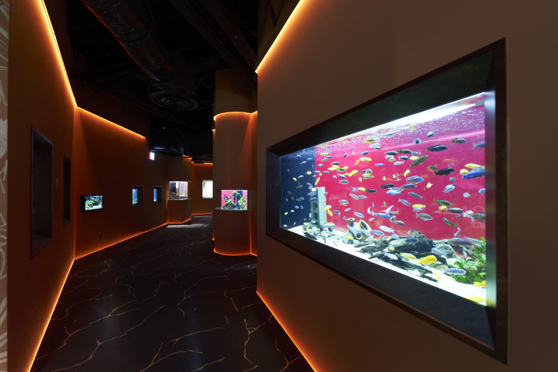 Kawasaki Aquarium Ticket - image 3