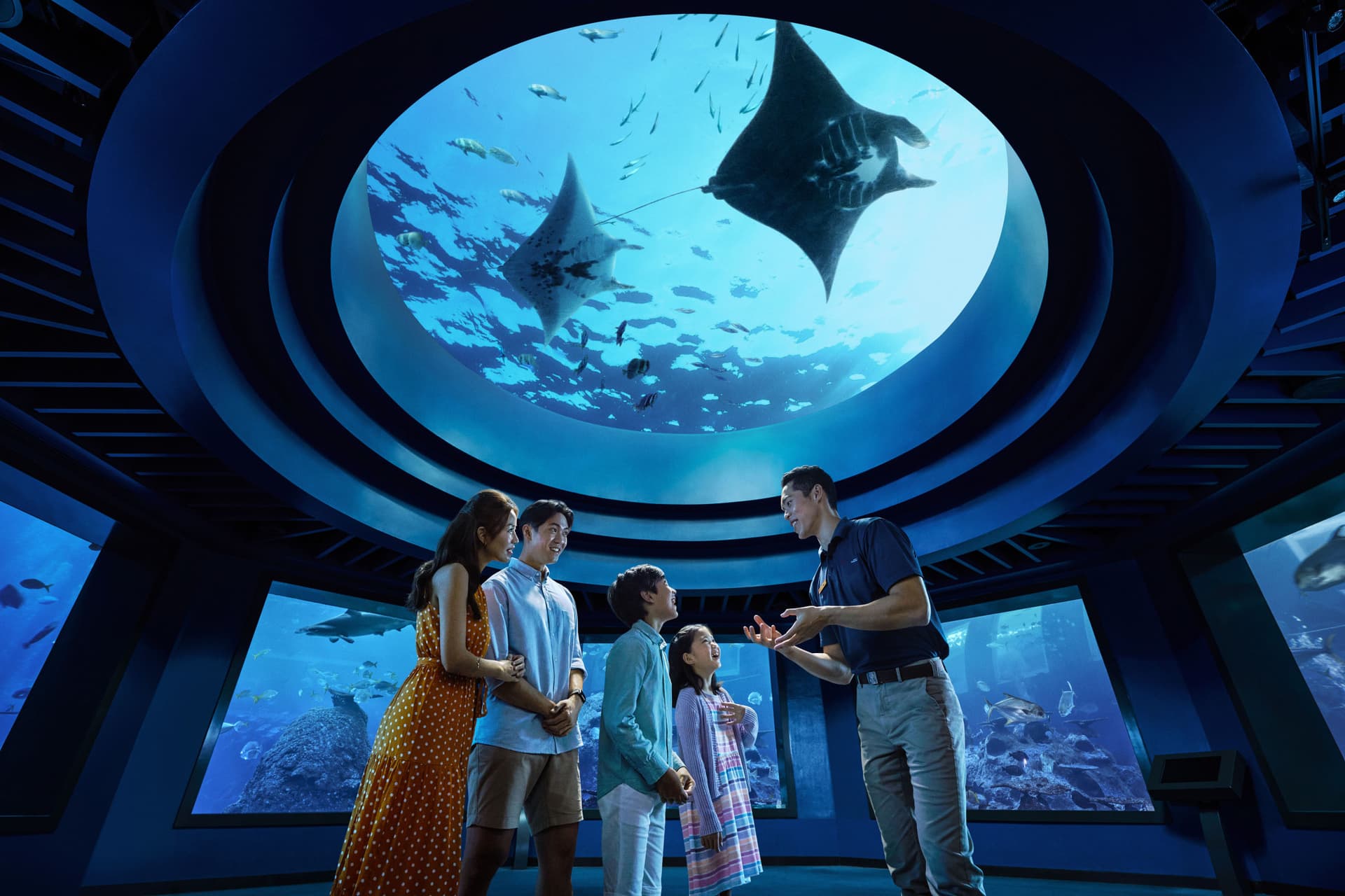 COMBO: Teleférico de Singapur + Oceanarium de Singapur + Entradas para el speedboat Hop-on Hop-off Albatross - imagen principal
